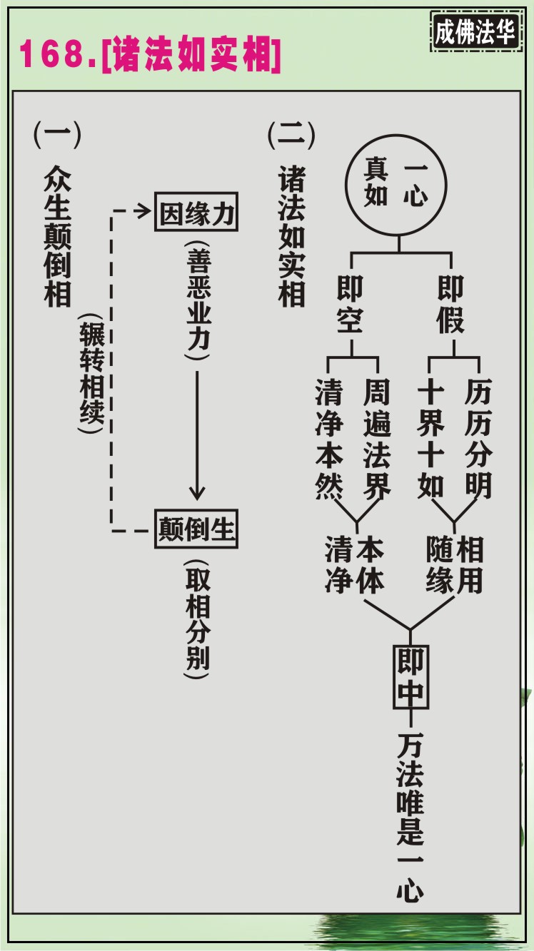 編ʦԽ168