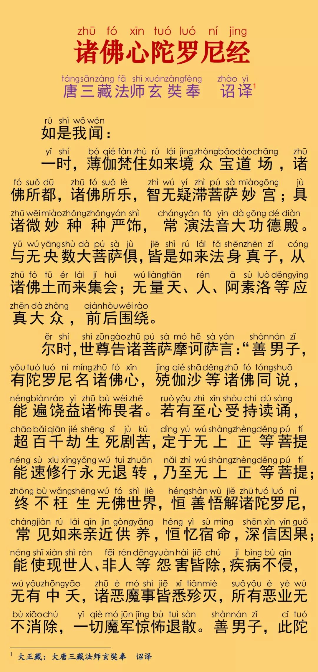 诸佛心陀罗尼经6