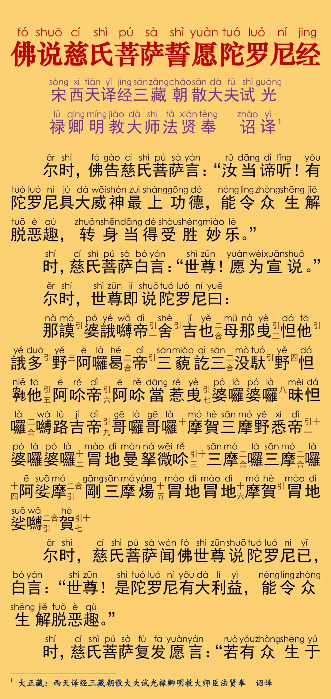 慈氏菩萨誓愿陀罗尼经6