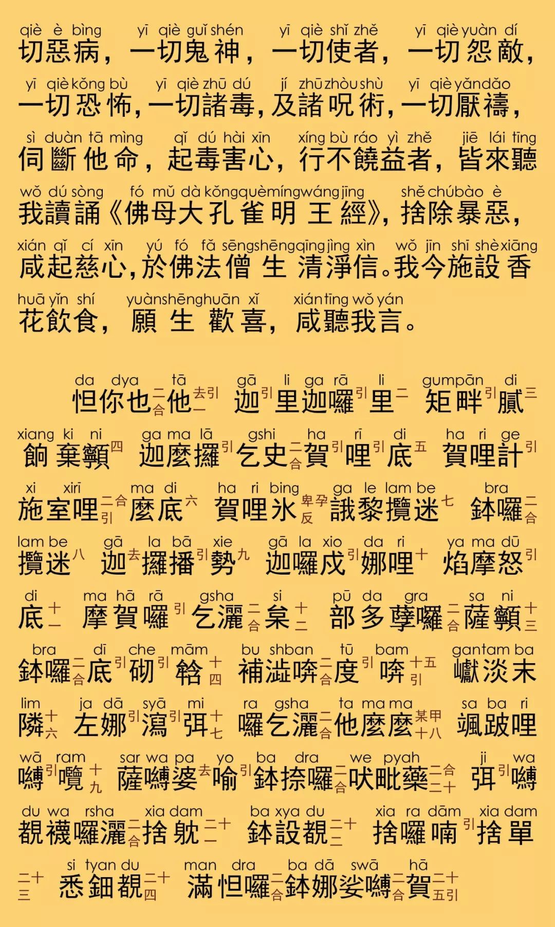 佛母大孔雀明王经11