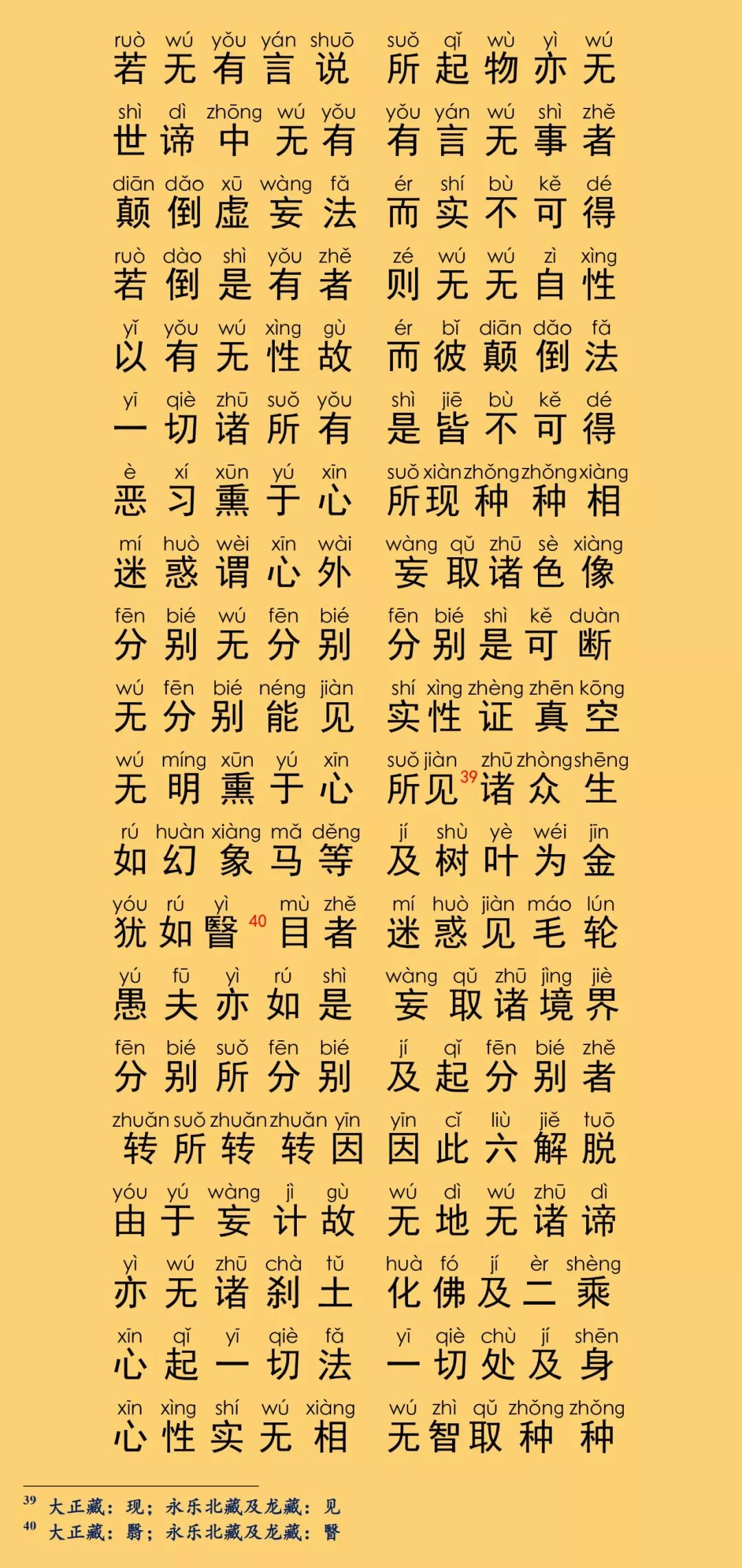 大乘入楞伽经13-11