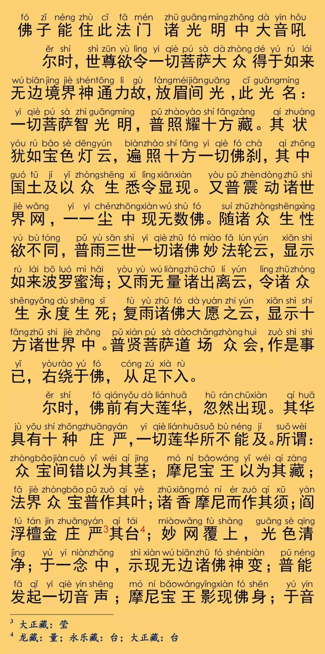 华严经卷第六21