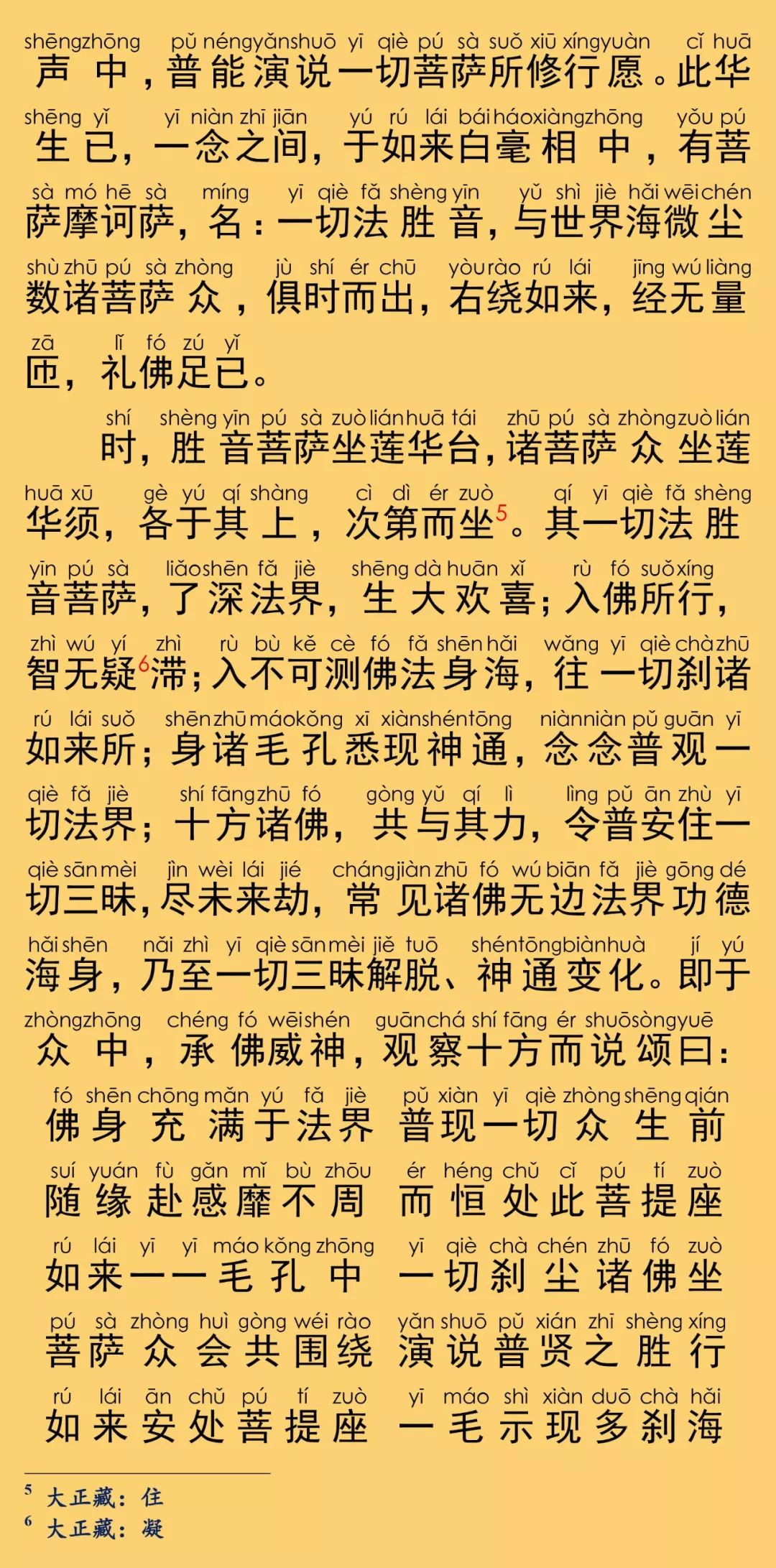 华严经卷第六22