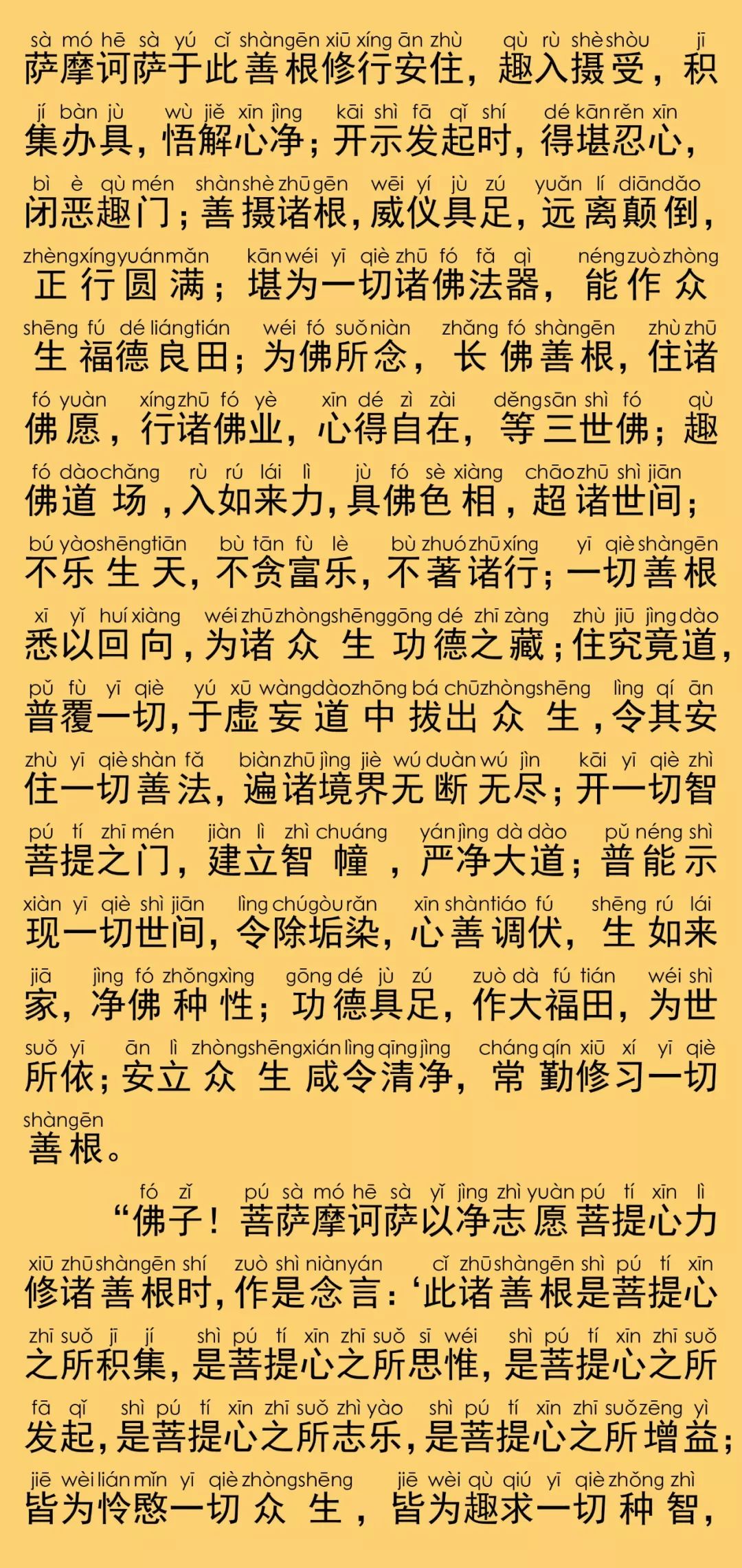 华严经卷第二十九6