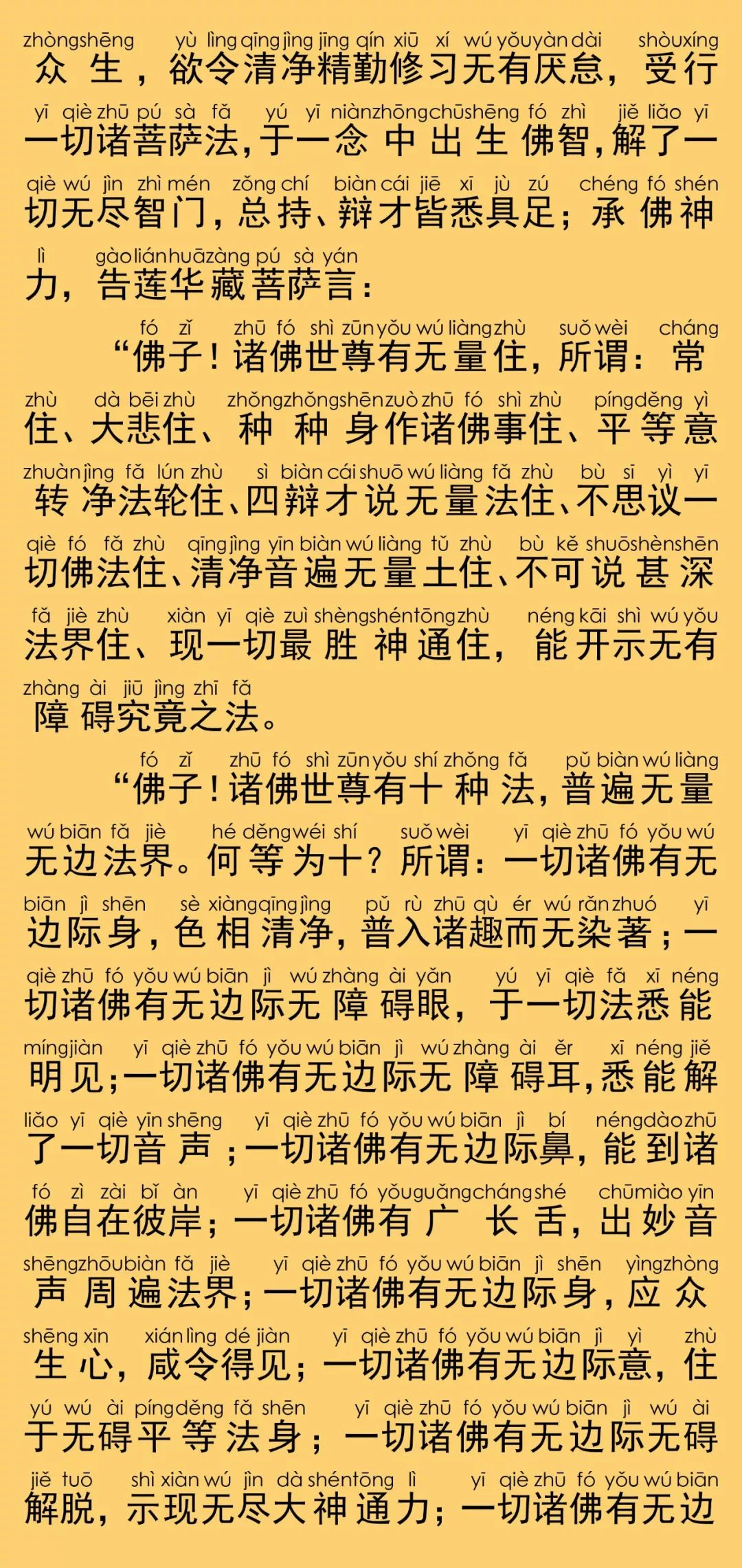 华严经卷第四十六6