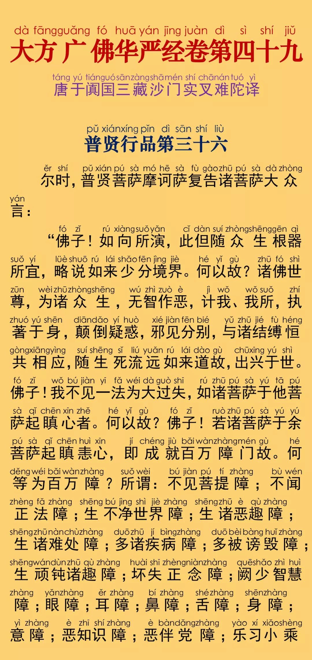 华严经卷第四十九5