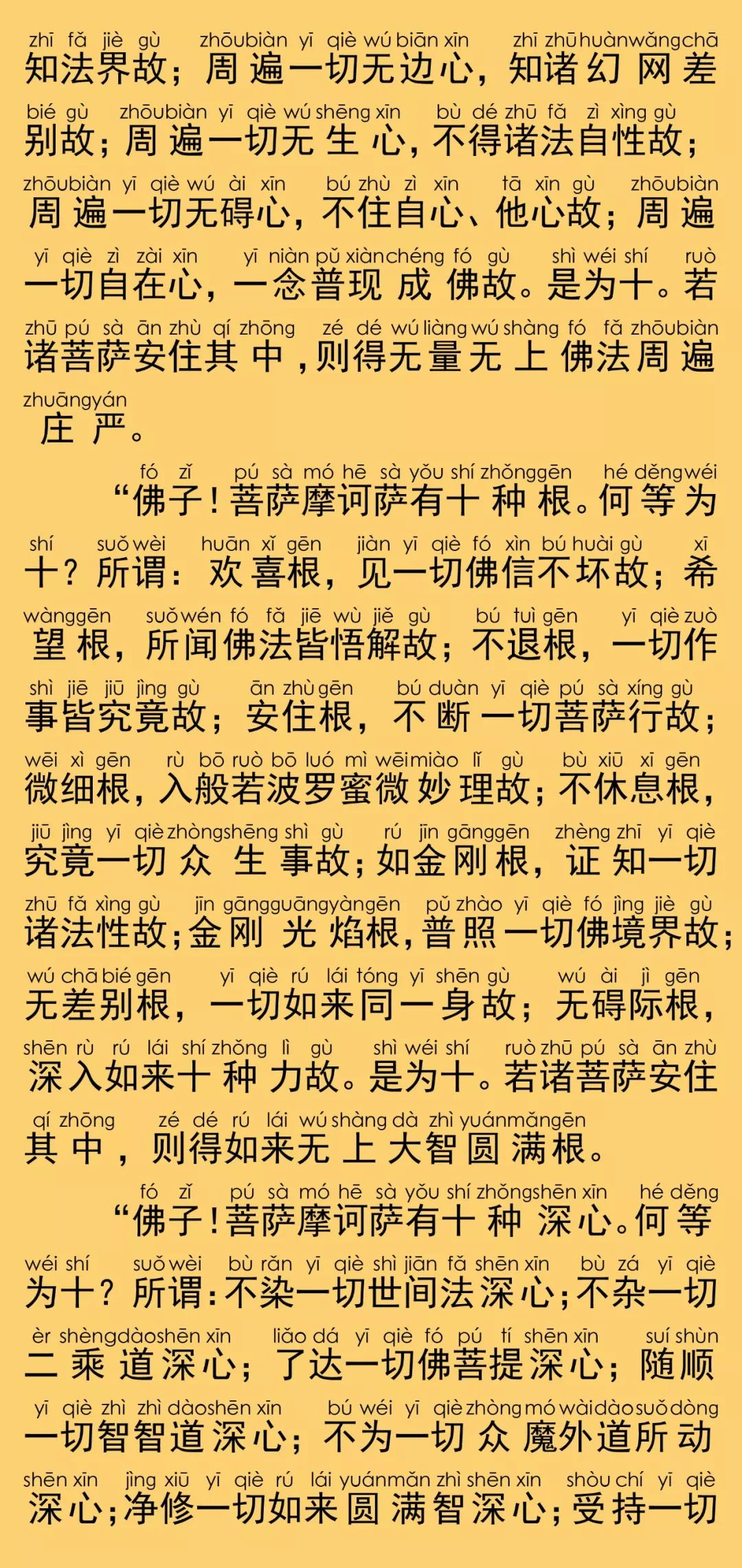 华严经卷第五十六27