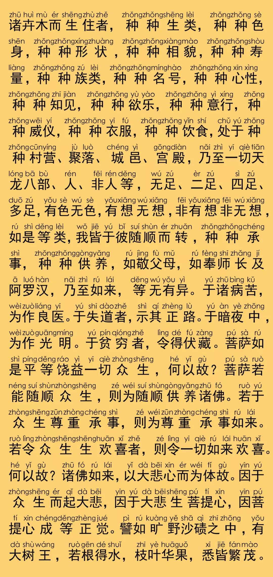 华严经卷第八十一12