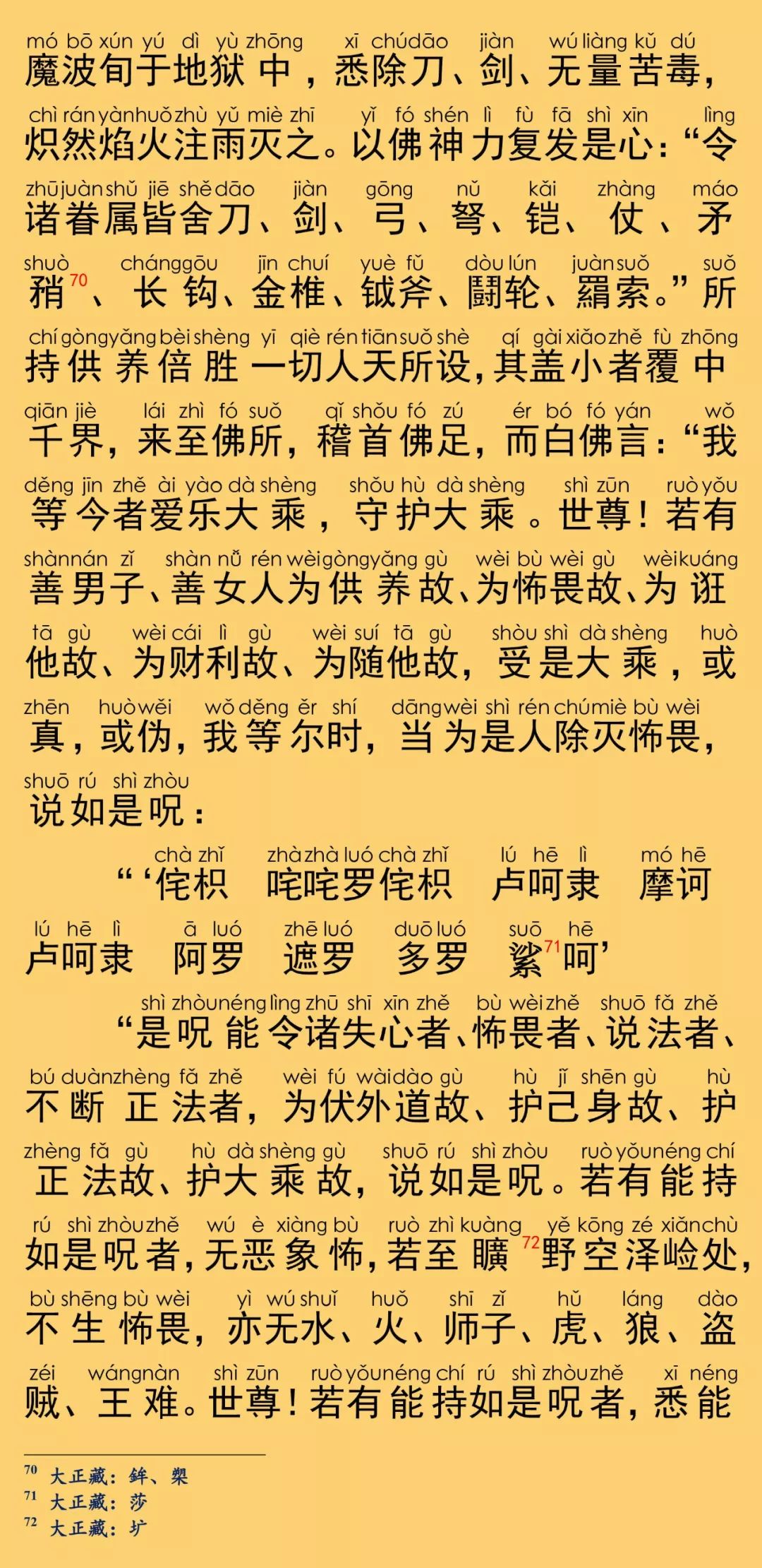 大般涅槃经卷第一28