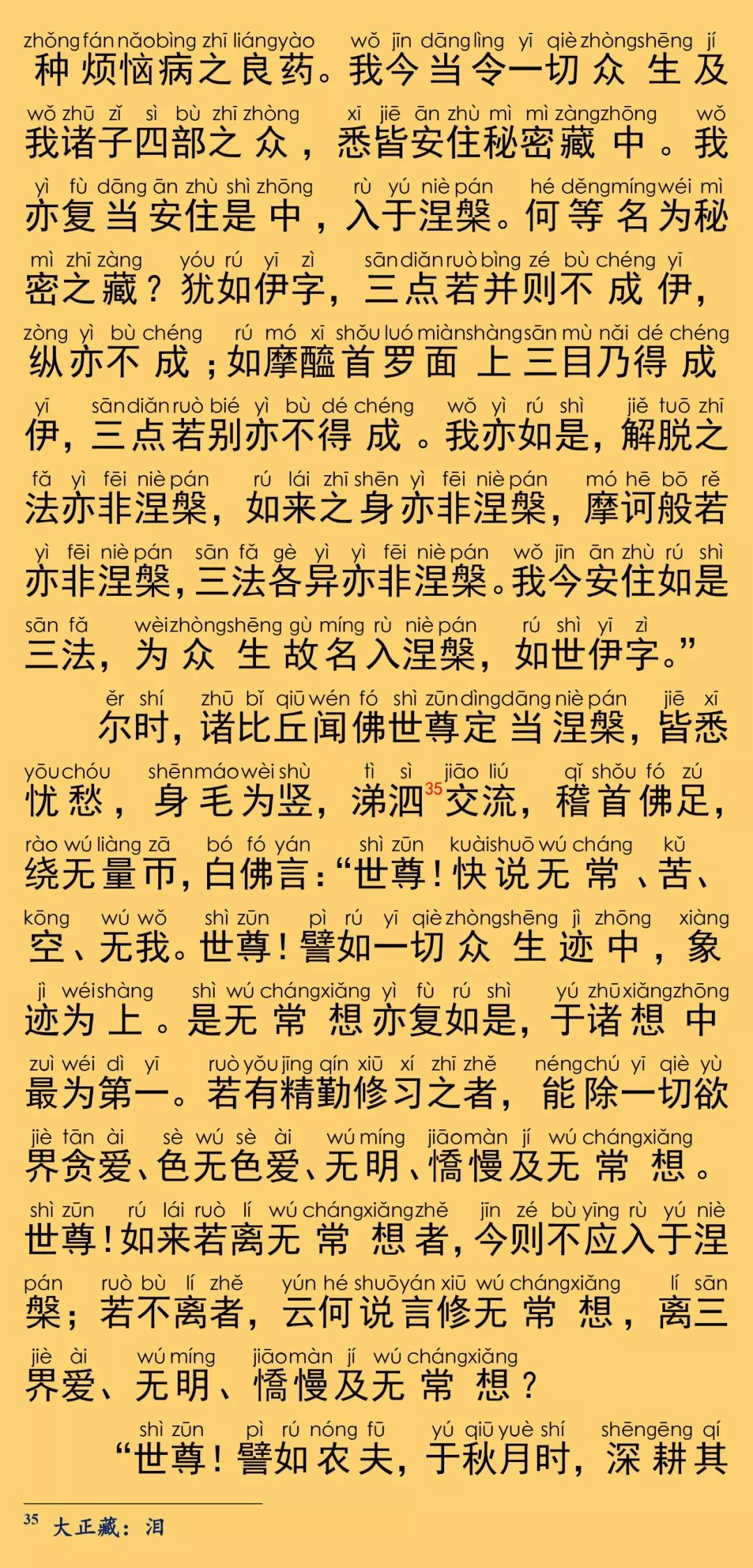 大般涅槃经卷第二29