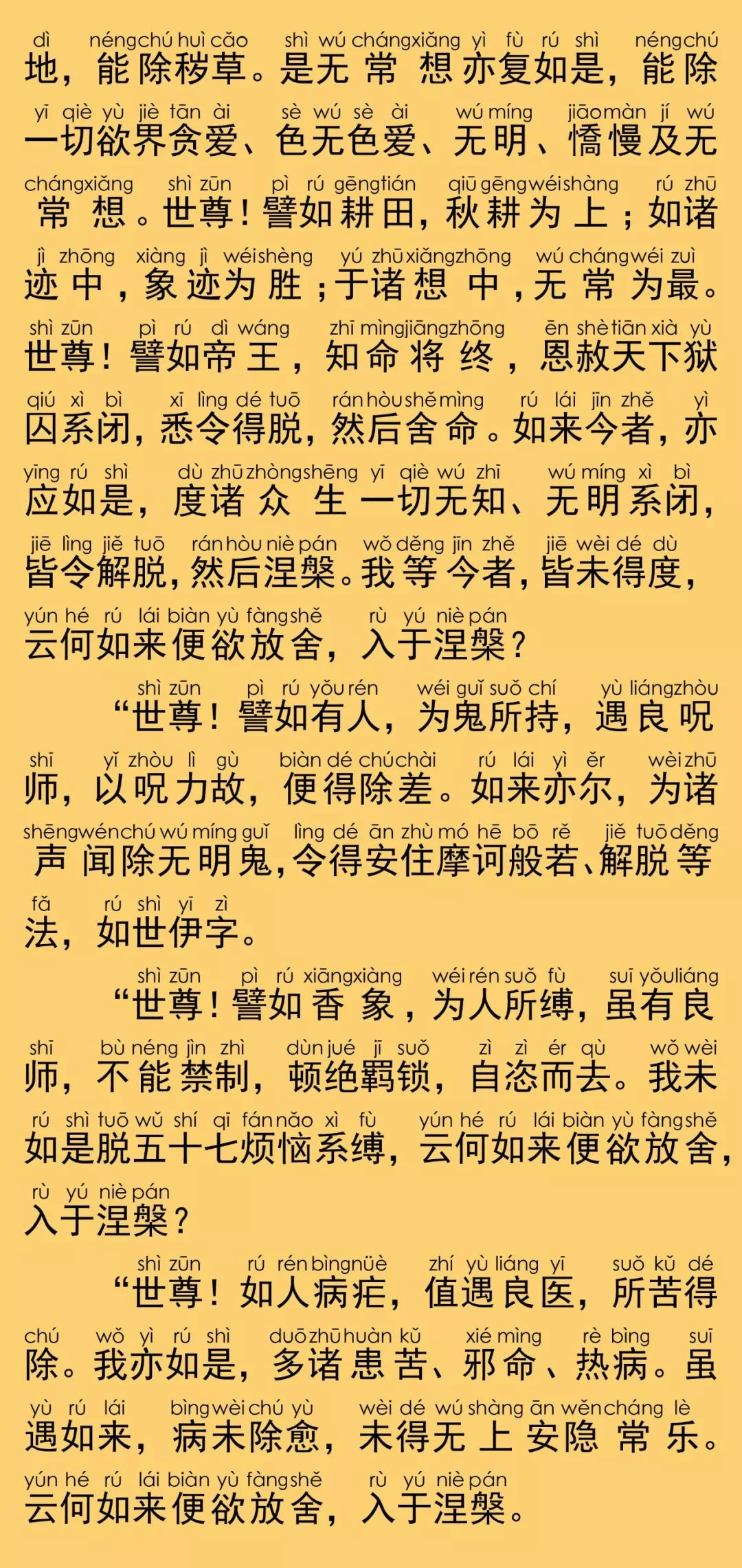 大般涅槃经卷第二30