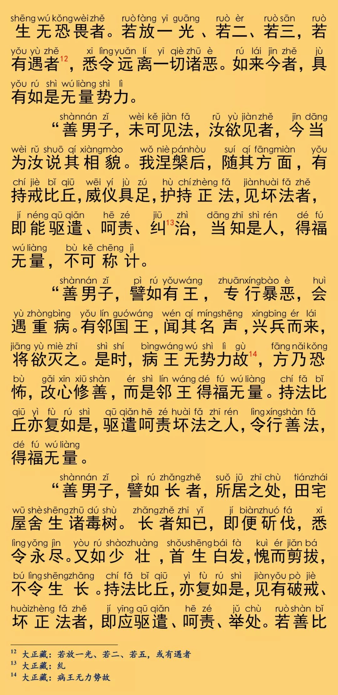 大般涅槃经卷第三14