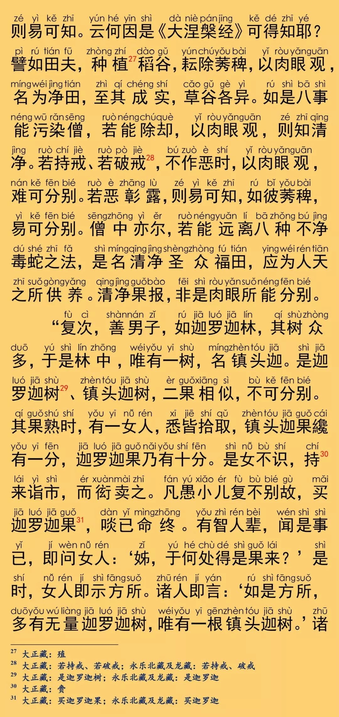 大般涅槃经卷第六26