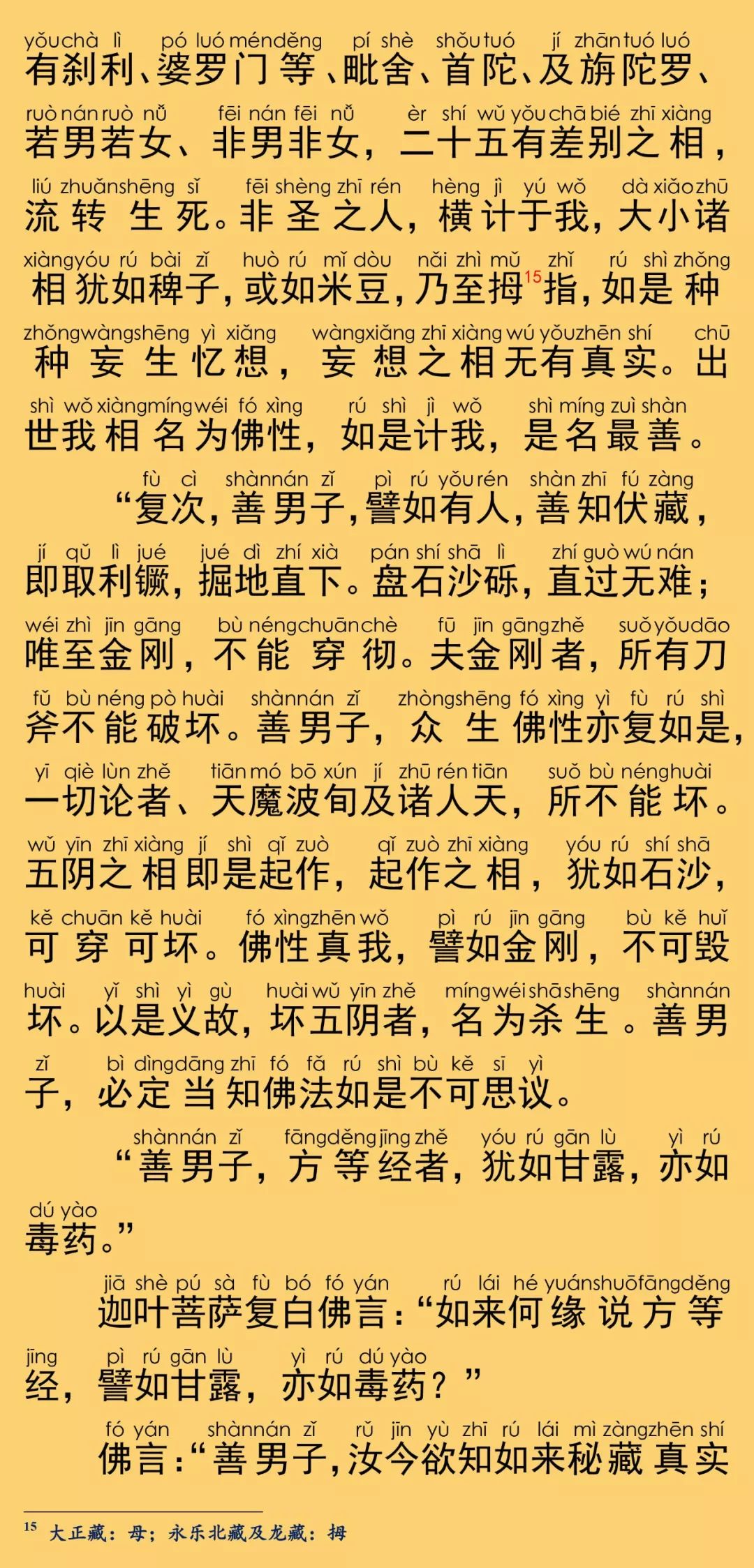 大般涅槃经卷第八12