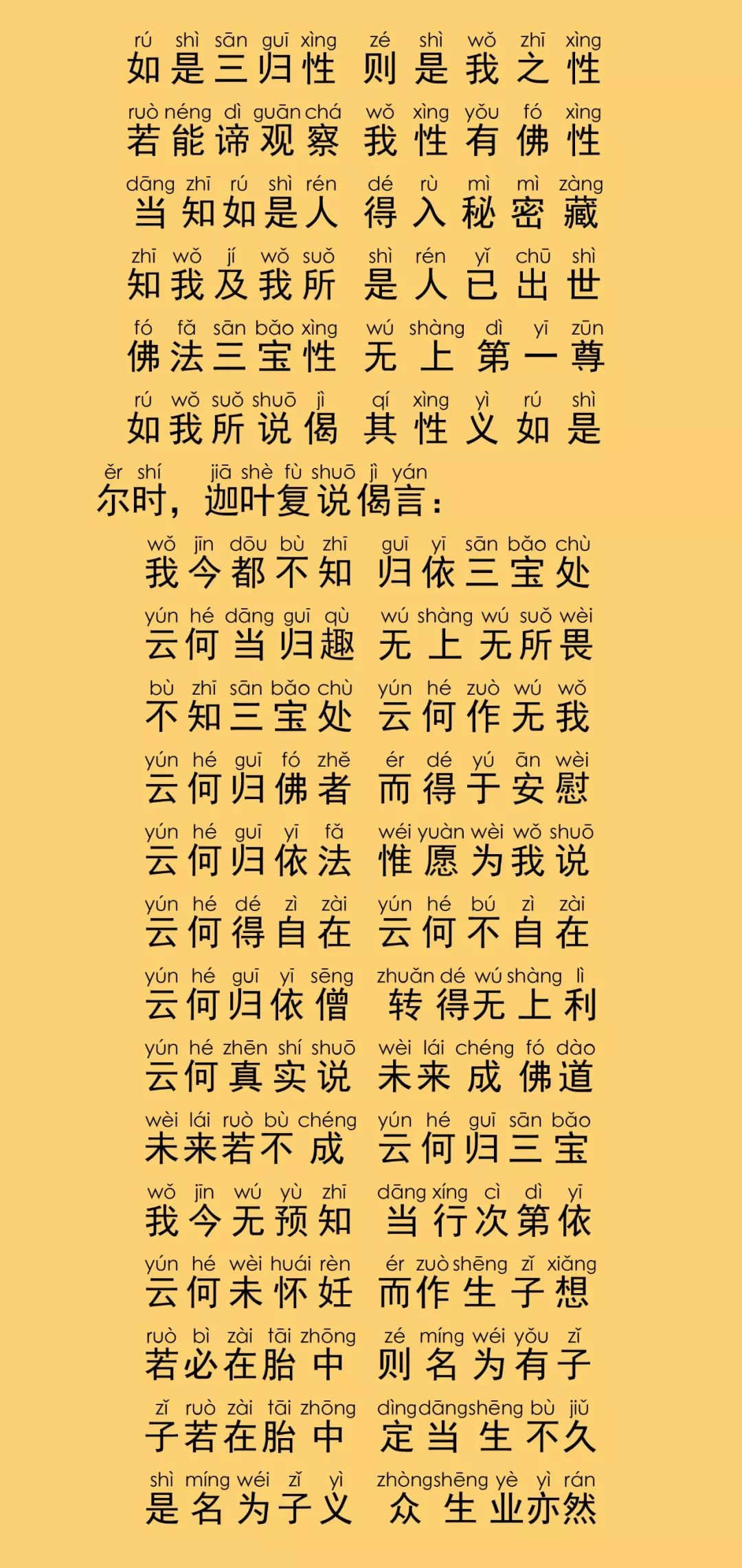 大般涅槃经卷第八14