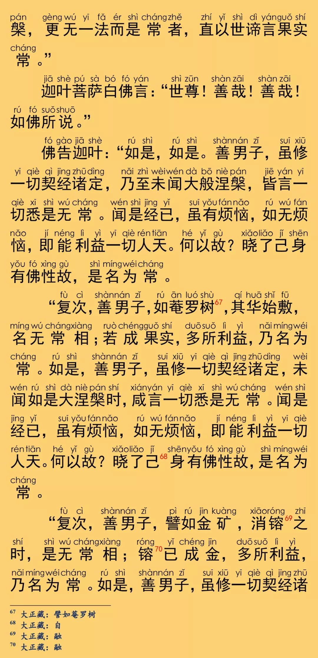 大般涅槃经卷第八41