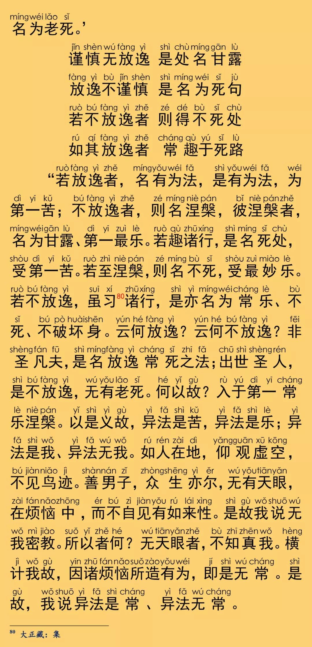 大般涅槃经卷第八46