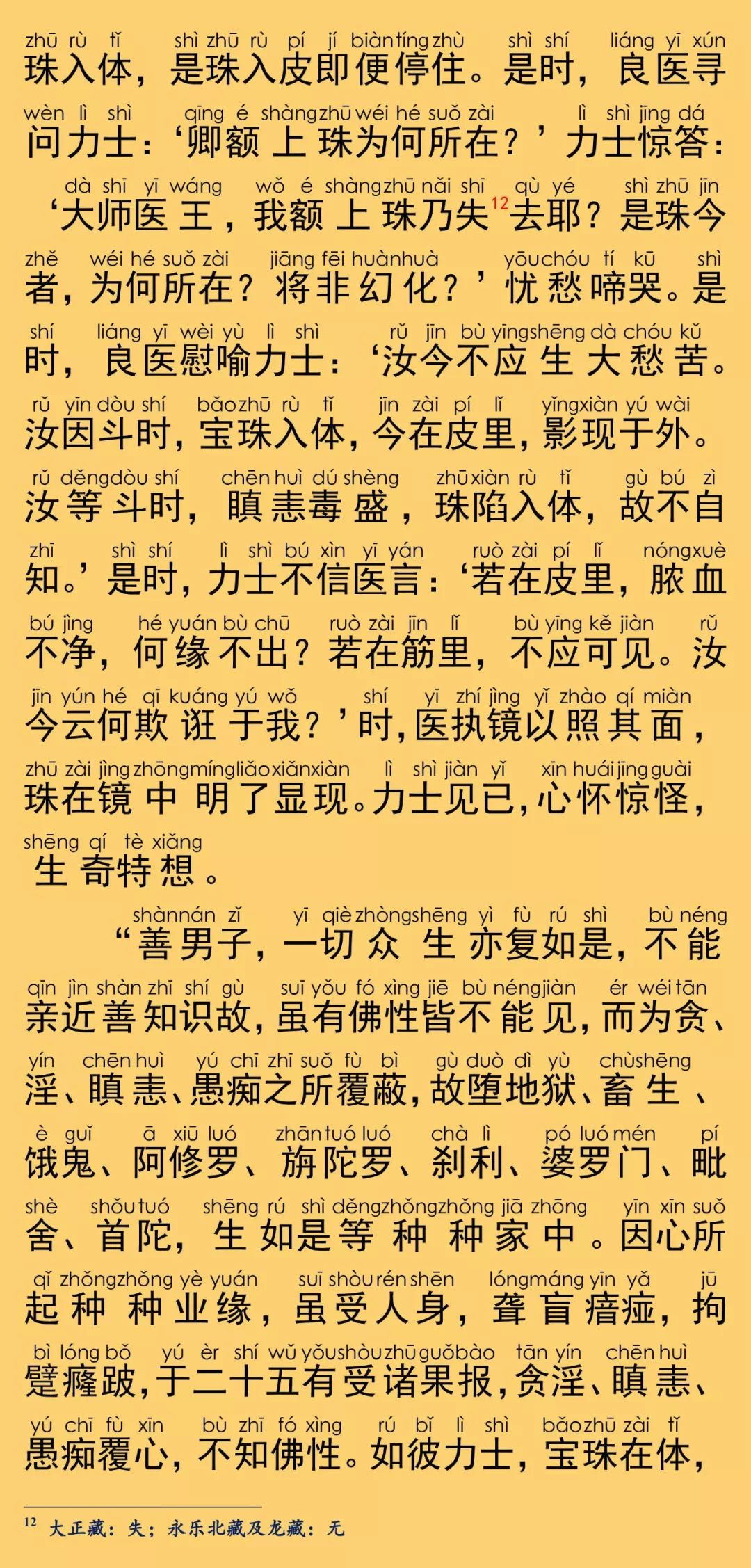 大般涅槃经卷第八9