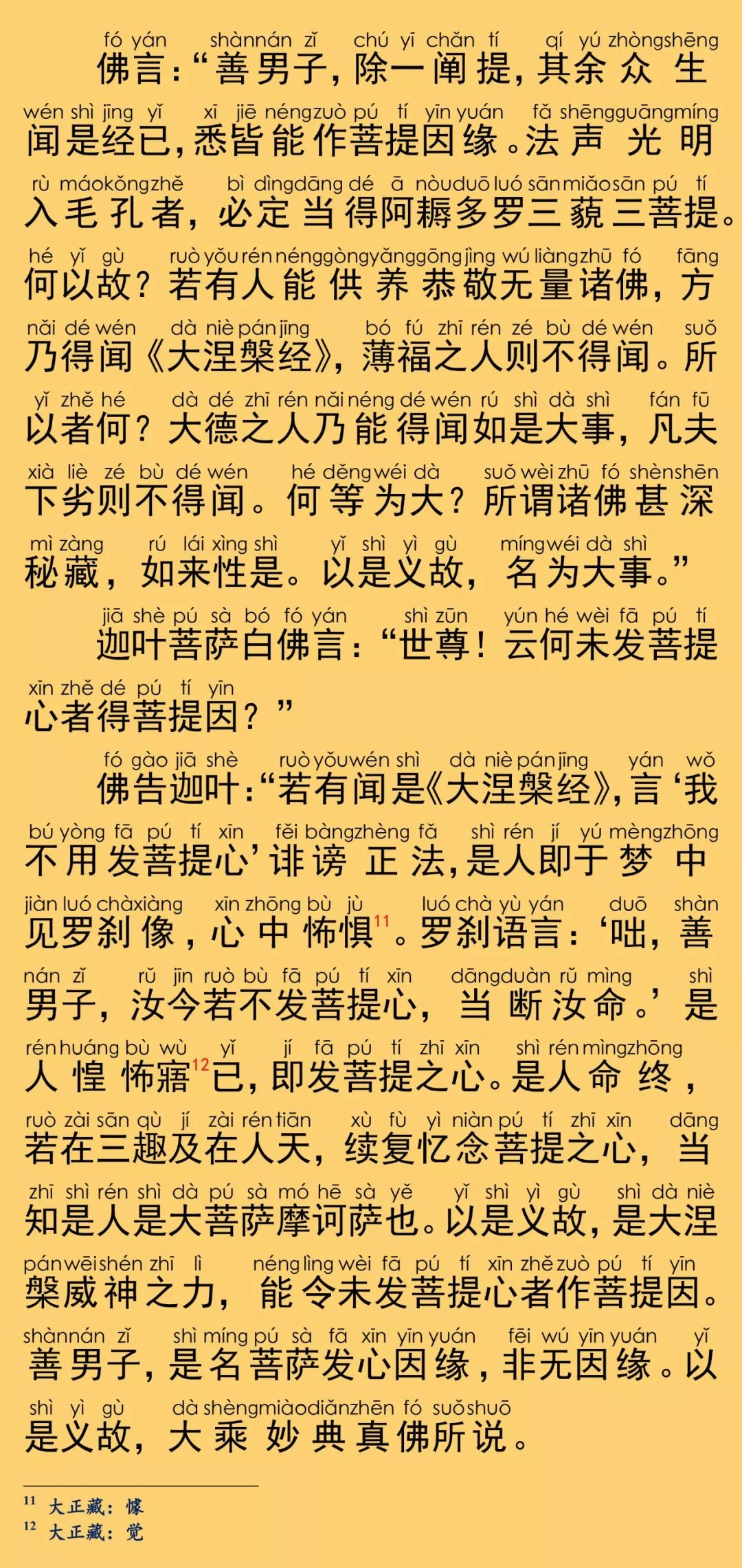 大般涅槃经卷第九13