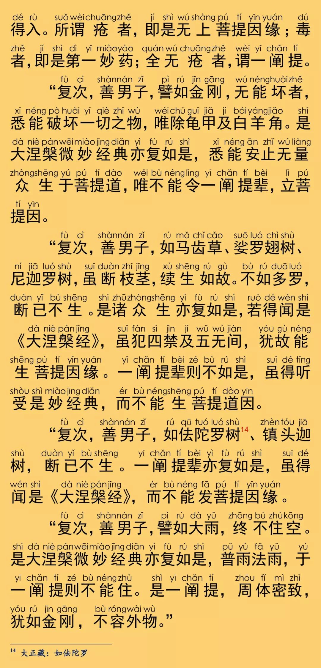 大般涅槃经卷第九16