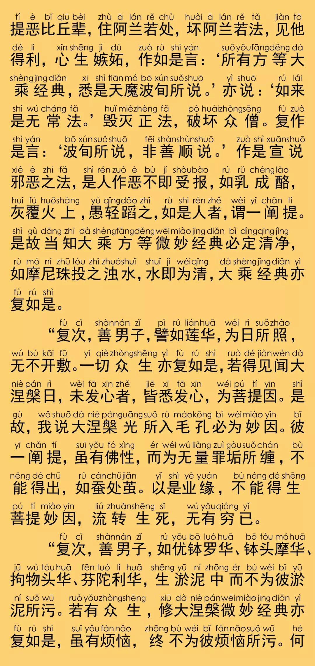 大般涅槃经卷第九20