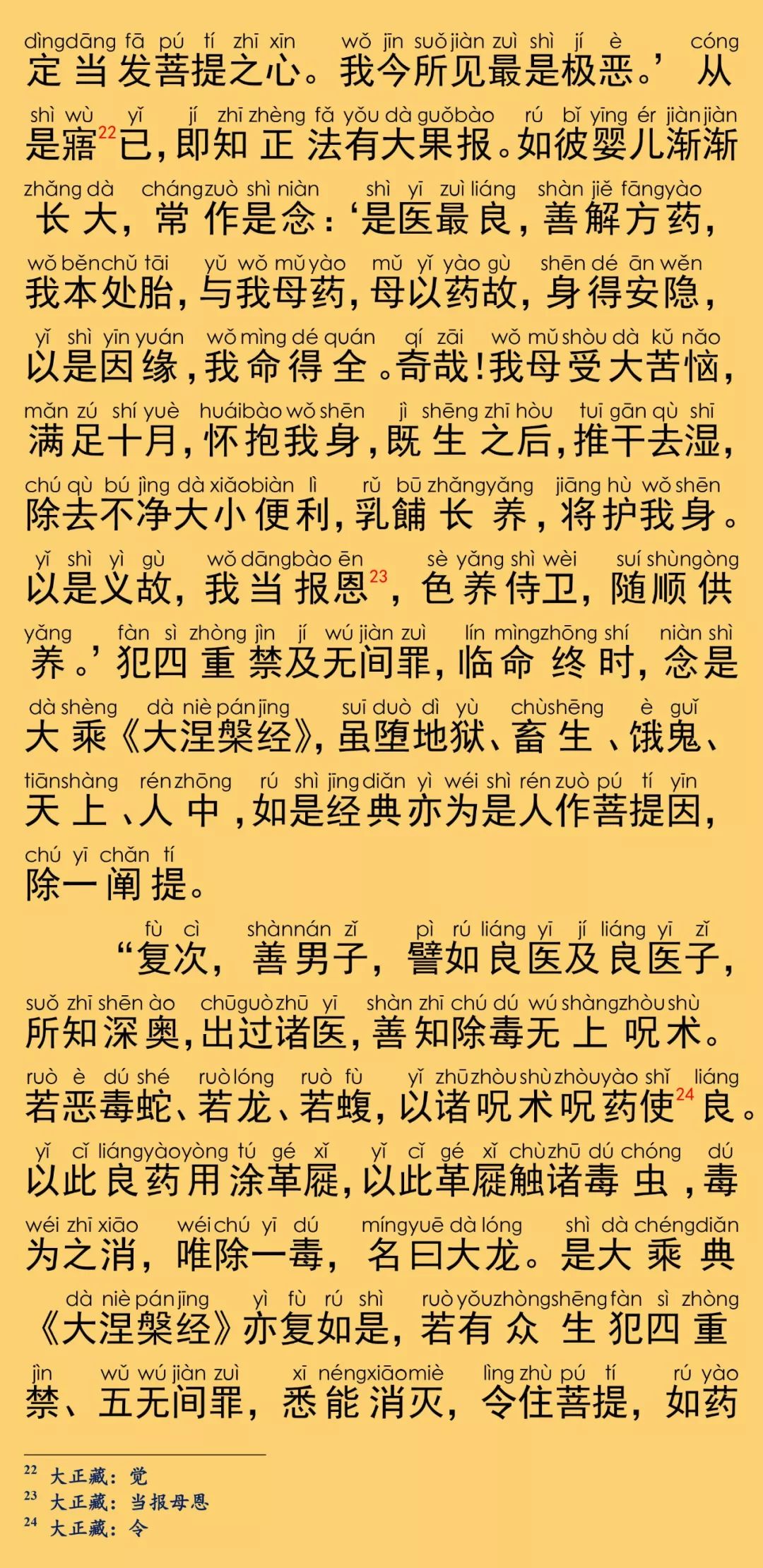 大般涅槃经卷第九23