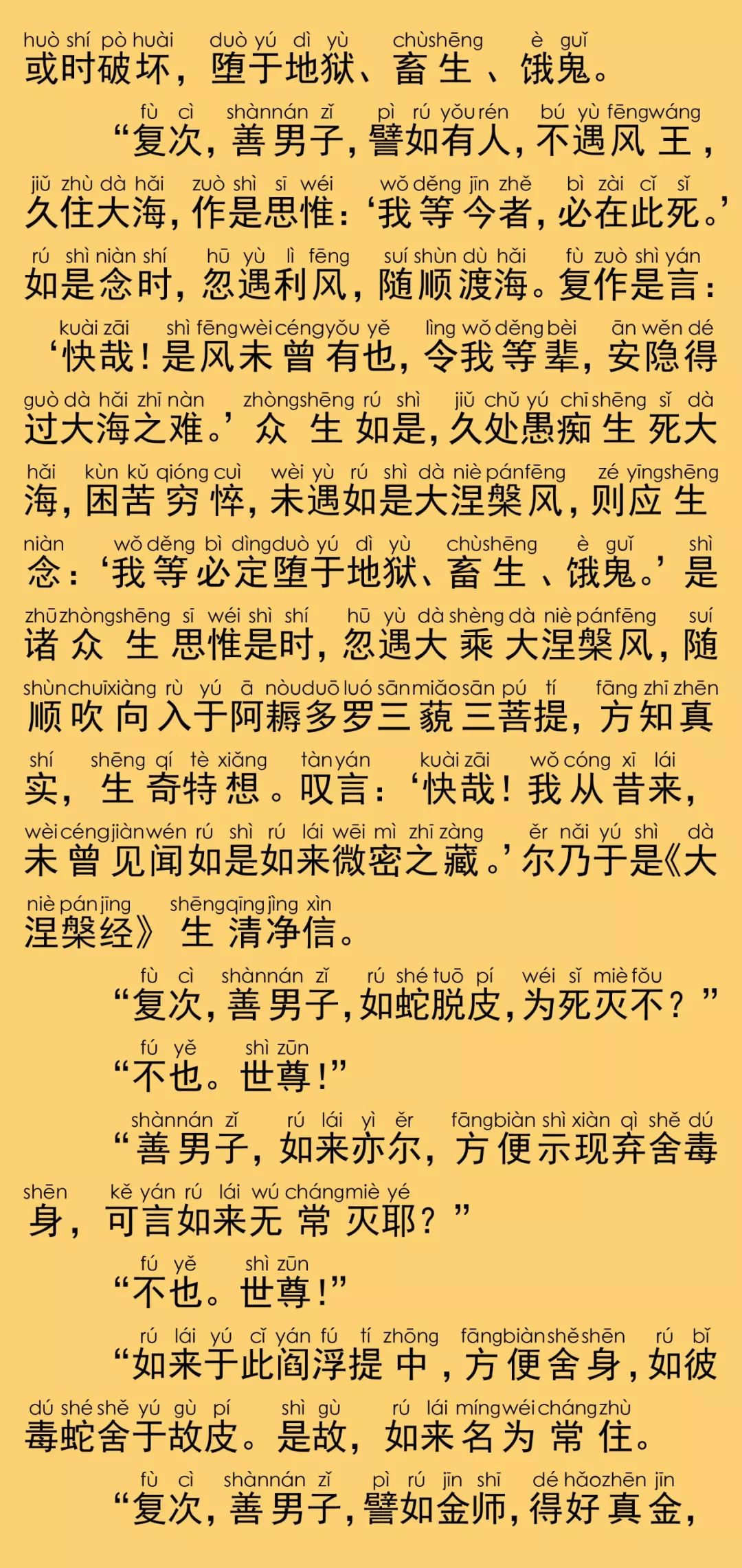 大般涅槃经卷第九29