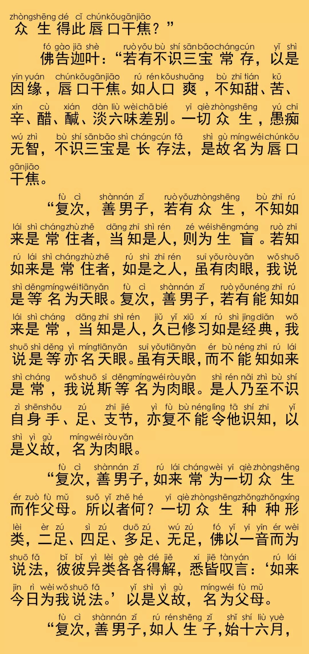 大般涅槃经卷第九42