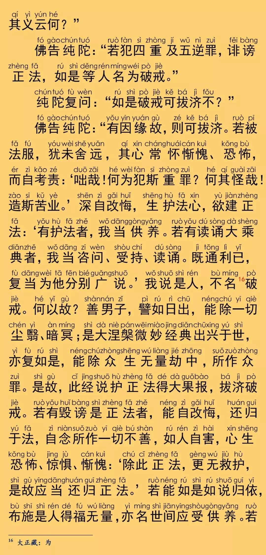 大般涅槃经卷第十13