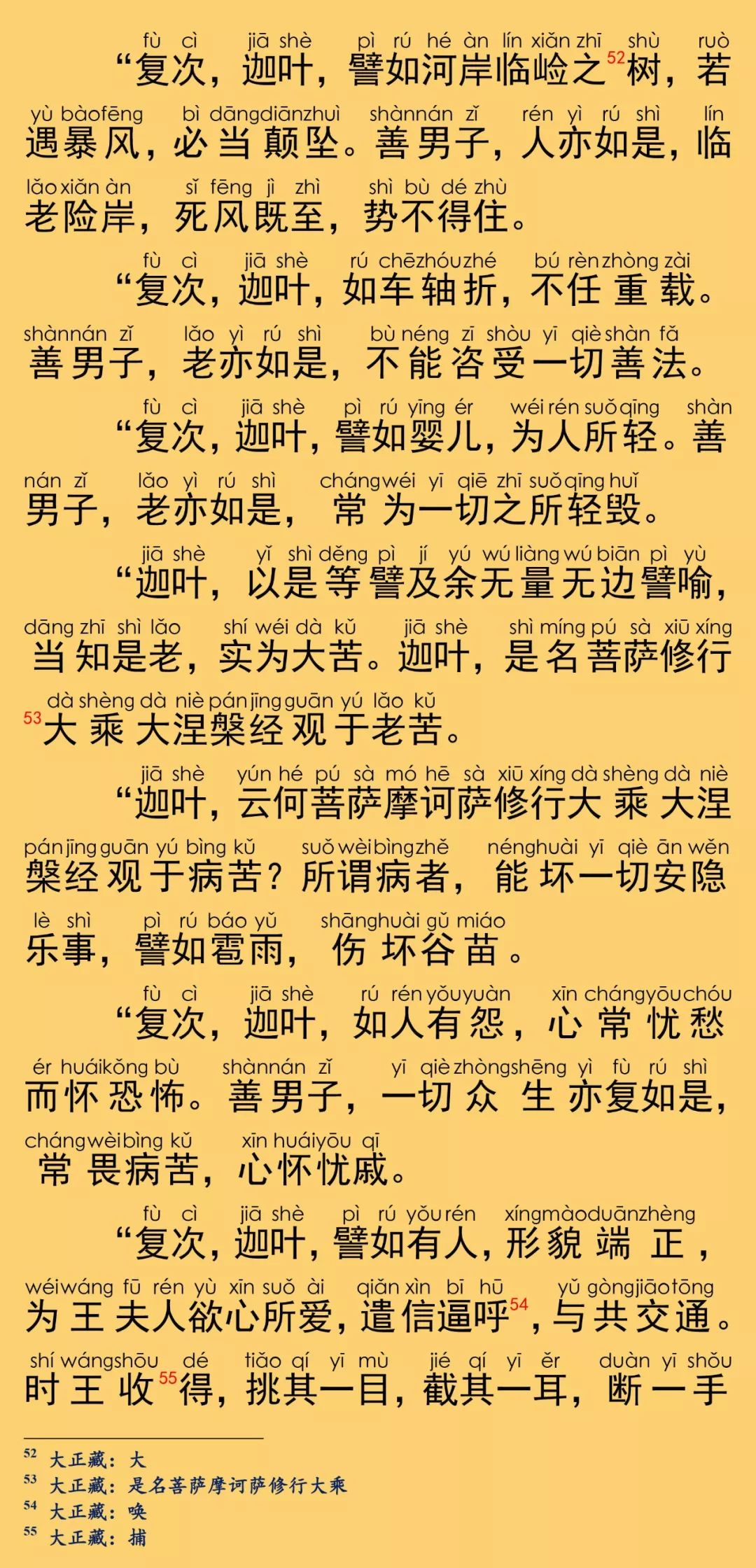 大般涅槃经卷第十一29