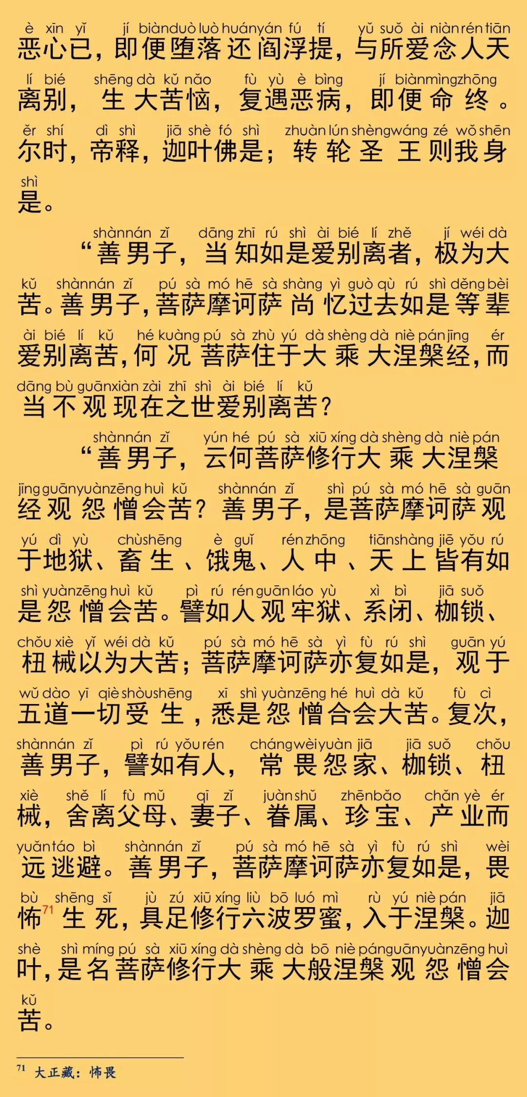 大般涅槃经卷第十一41