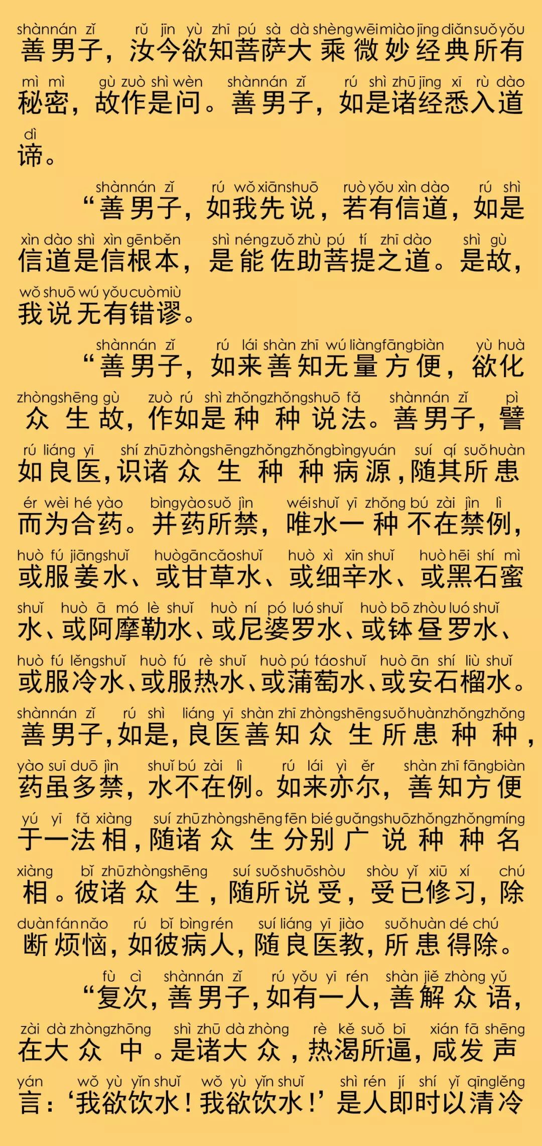 大般涅槃经卷第十二13