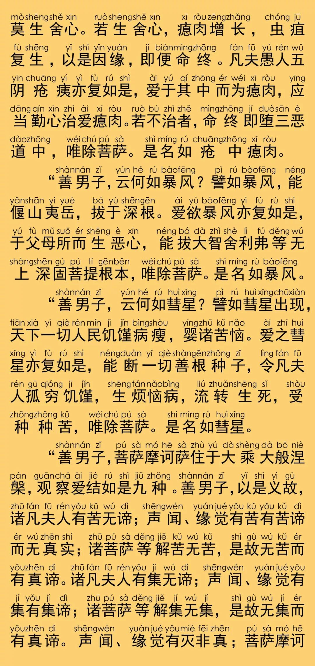 大般涅槃经卷第十二9