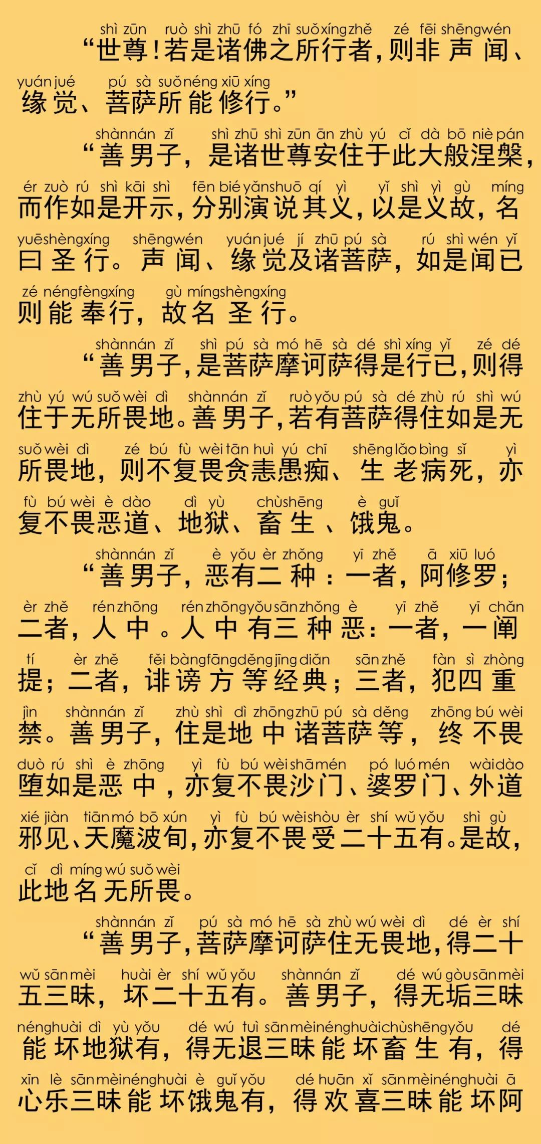 大般涅槃经卷第十三20