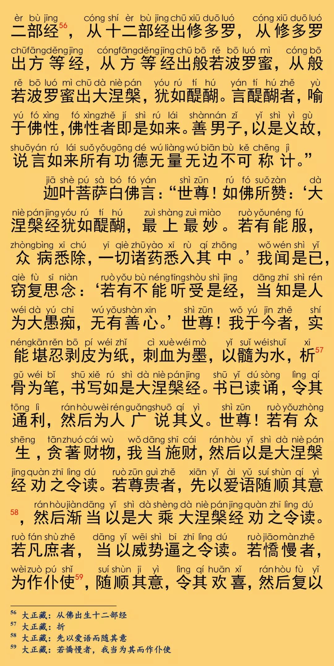 大般涅槃经卷第十三24