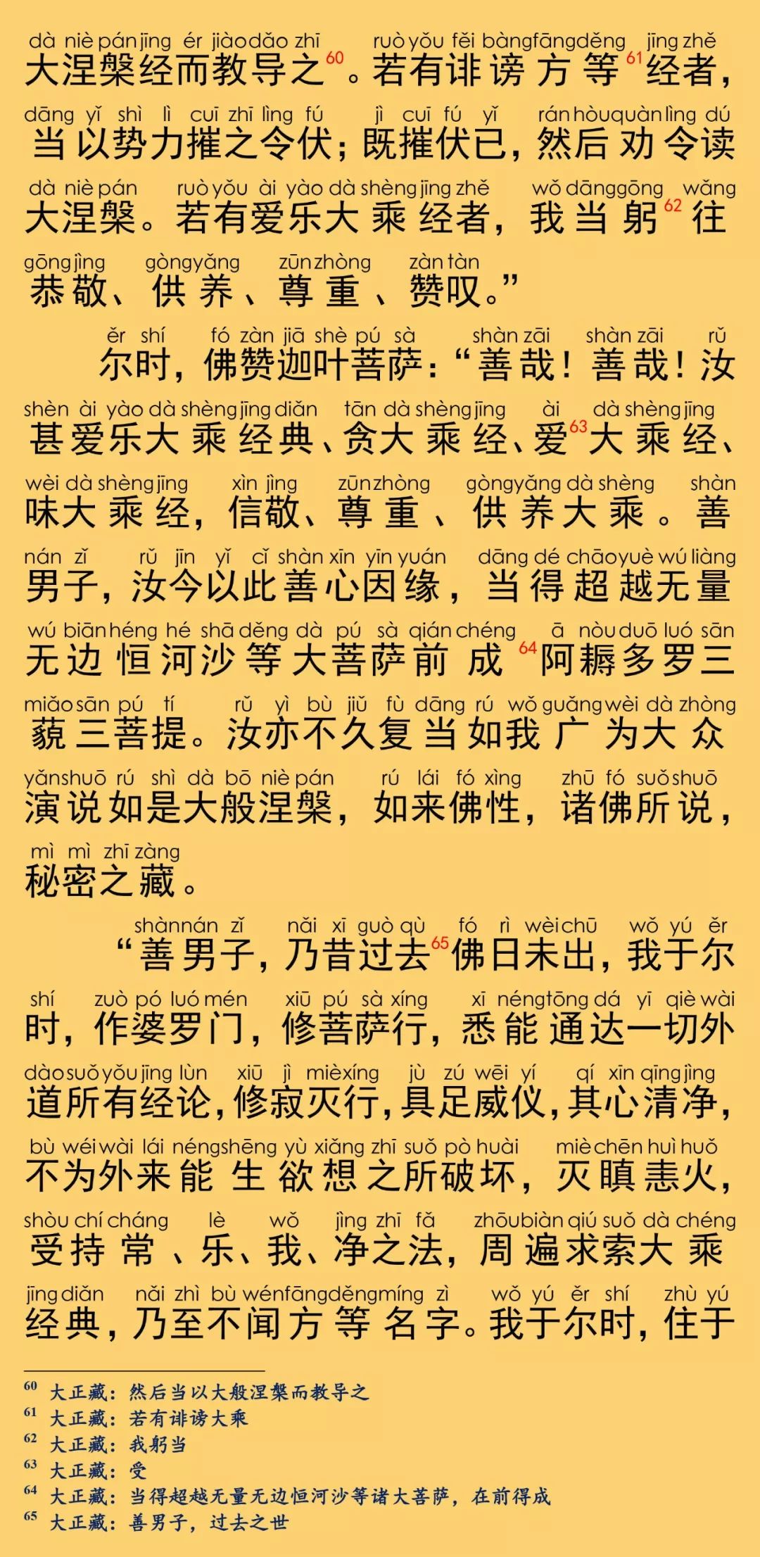 大般涅槃经卷第十三25