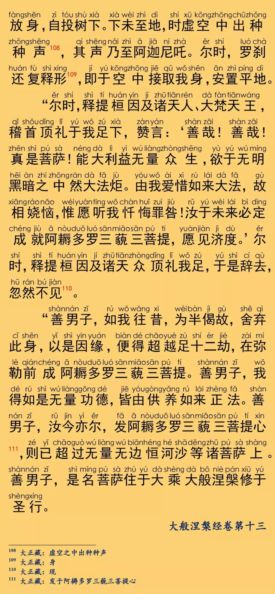 大般涅槃经卷第十三35