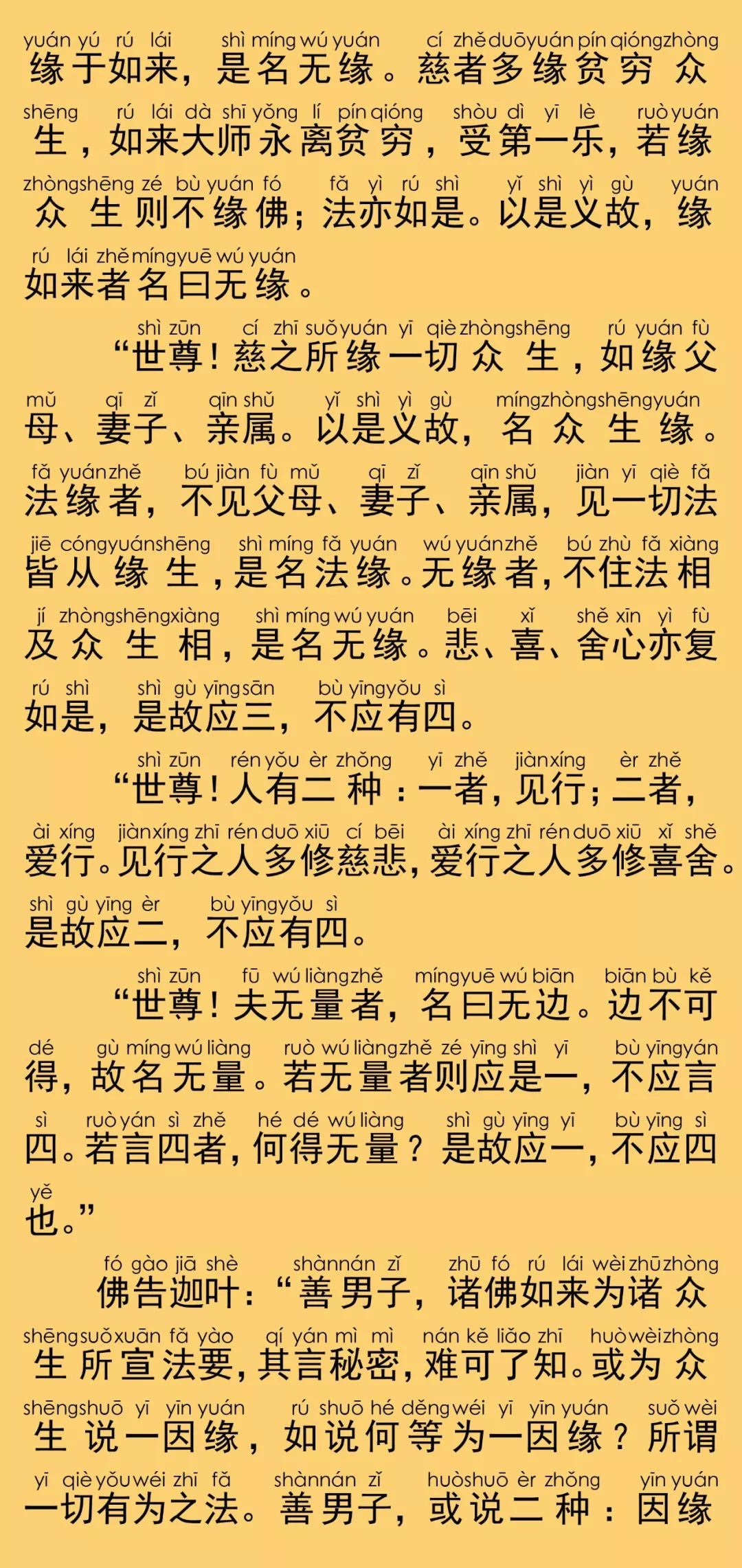 大般涅槃经卷第十四12