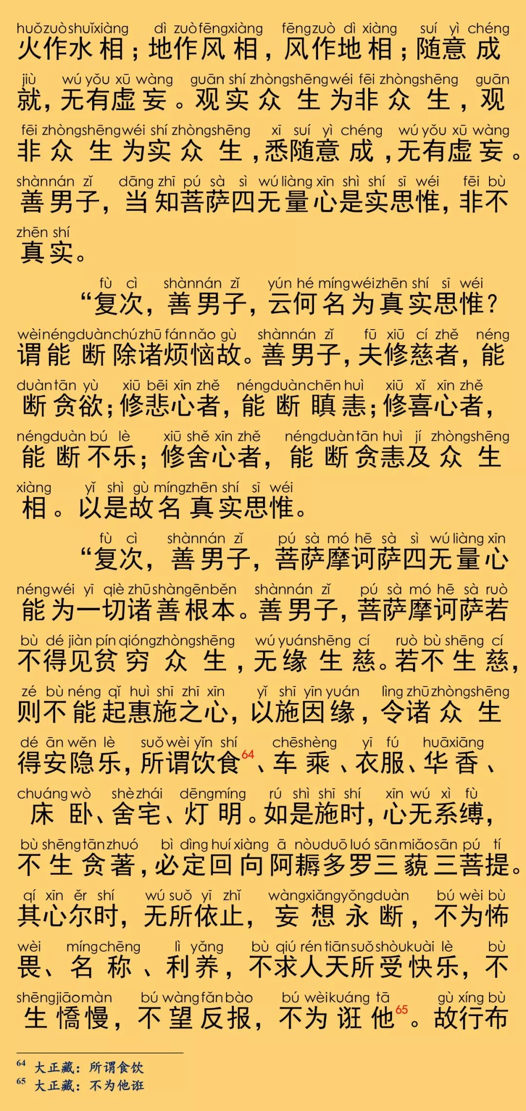 大般涅槃经卷第十四22