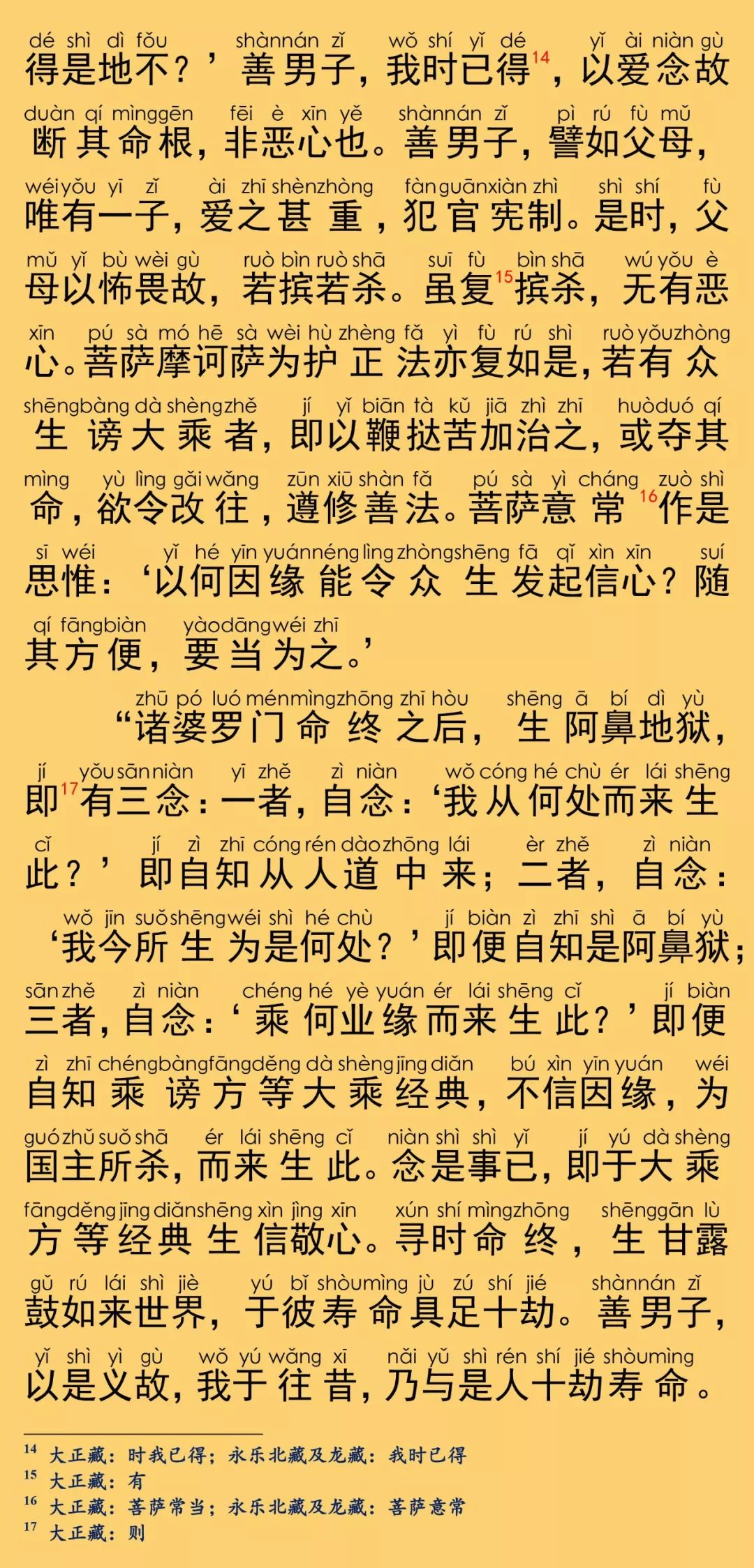 大般涅槃经卷第十五11