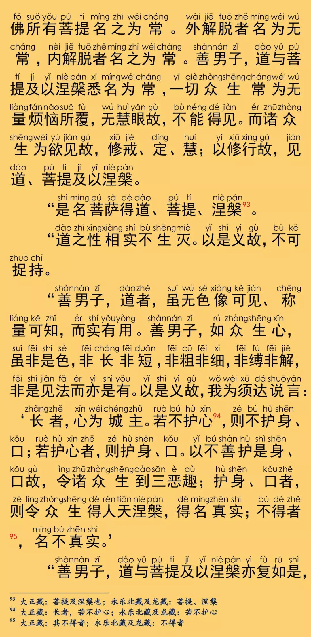 大般涅槃经卷第十五41