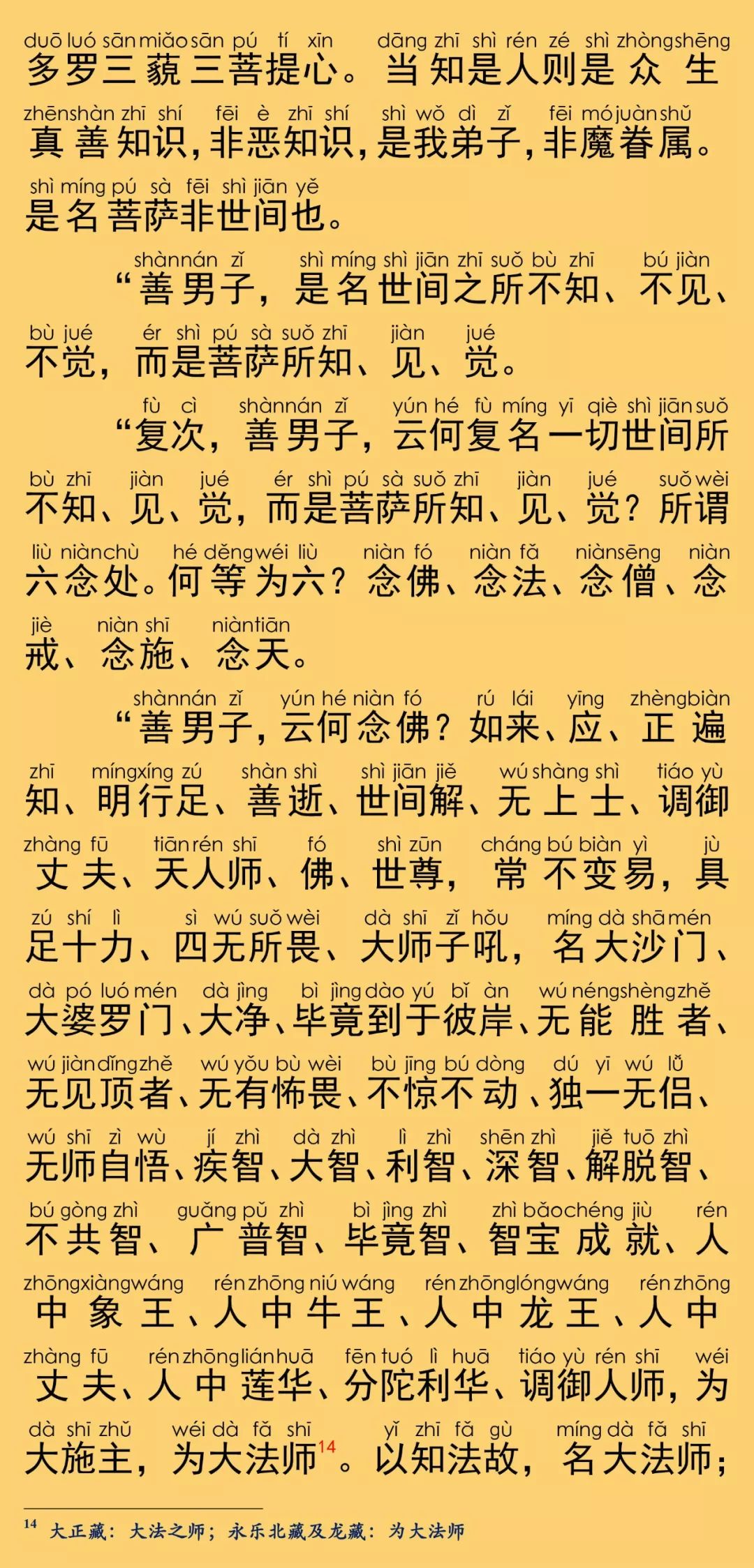 大般涅槃经卷第十六14