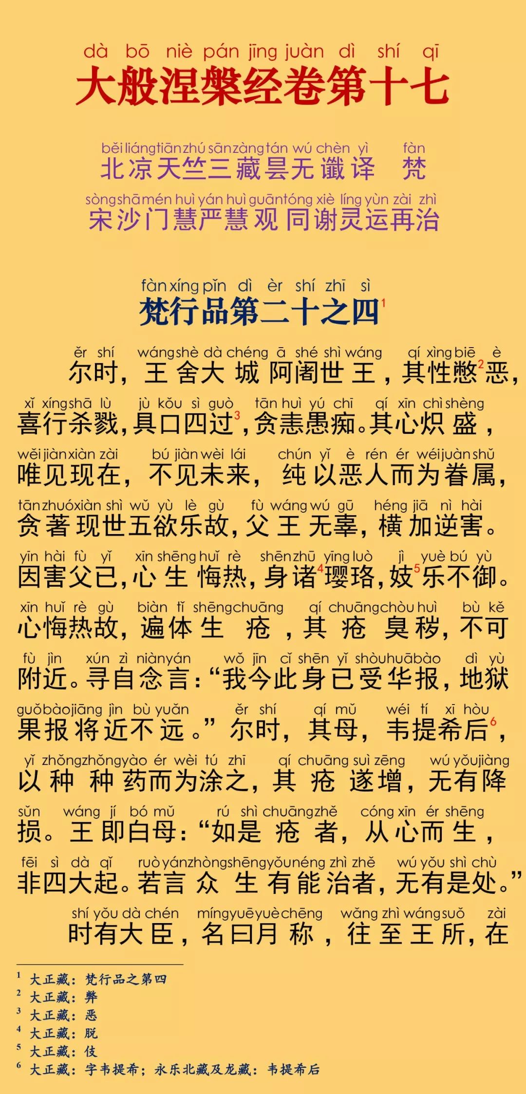 大般涅槃经卷第十七5