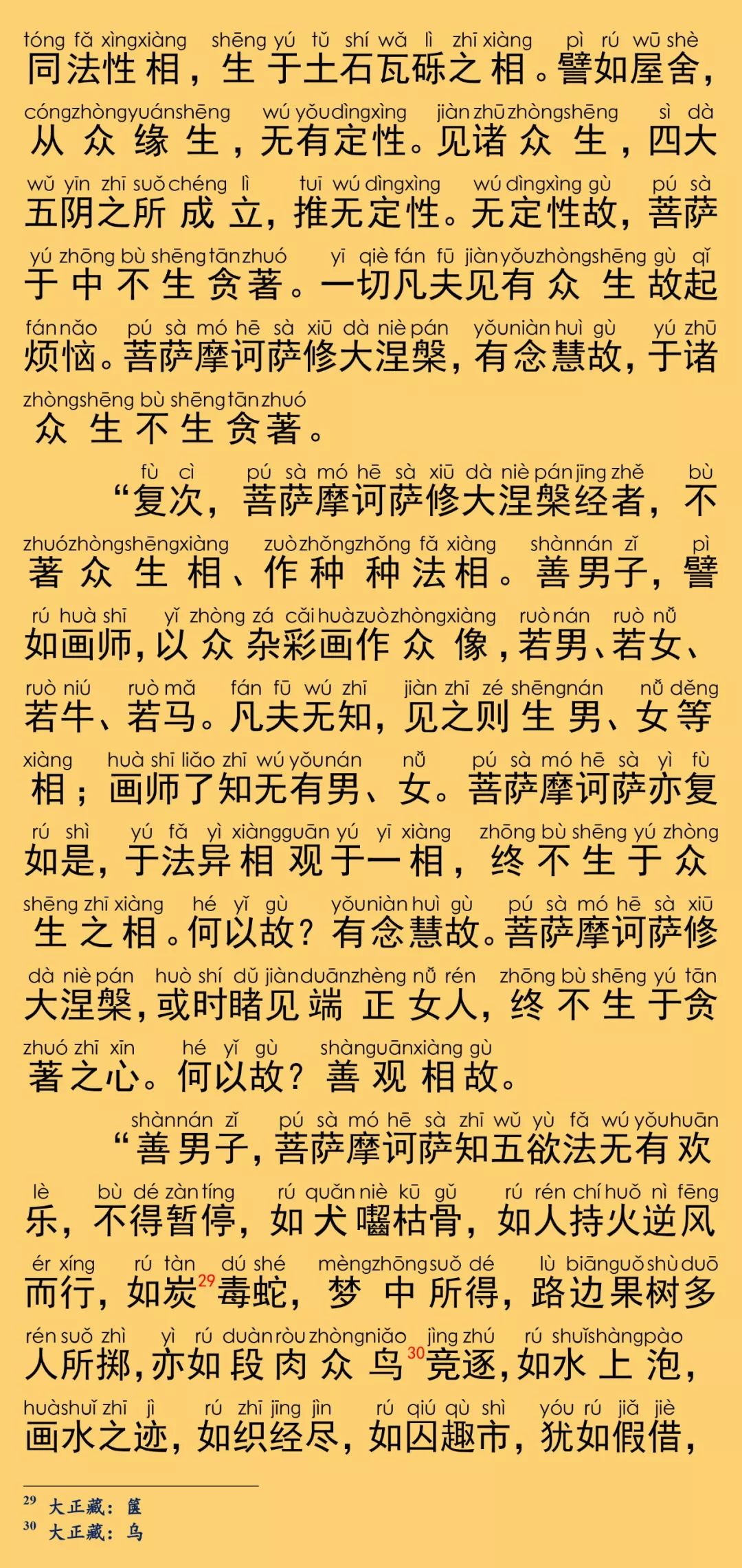 大般涅槃经卷第二十19