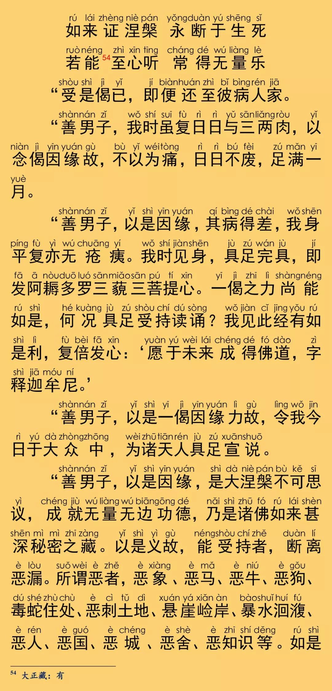 大般涅槃经卷第二十25