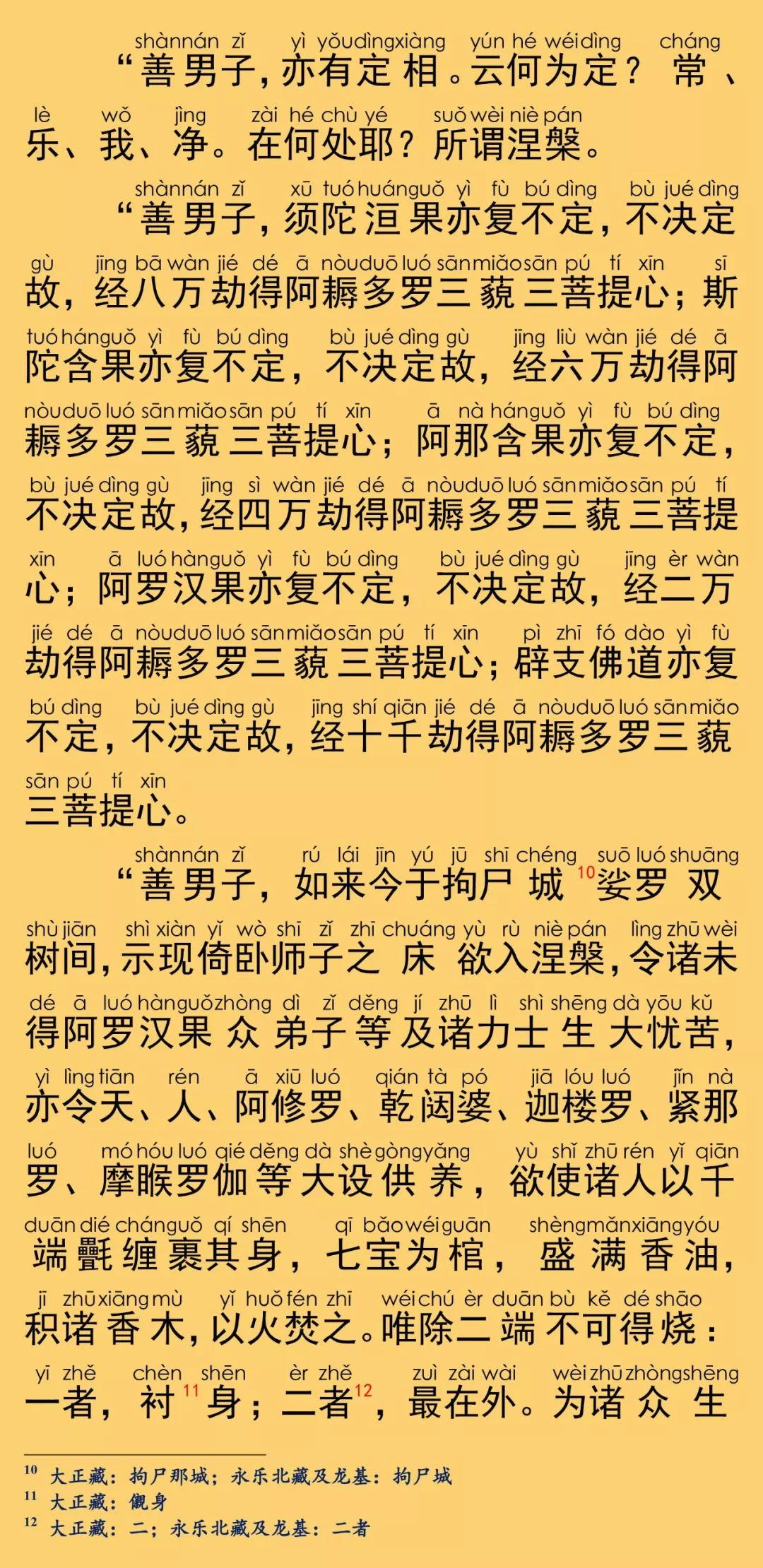 大般涅槃经卷第二十9