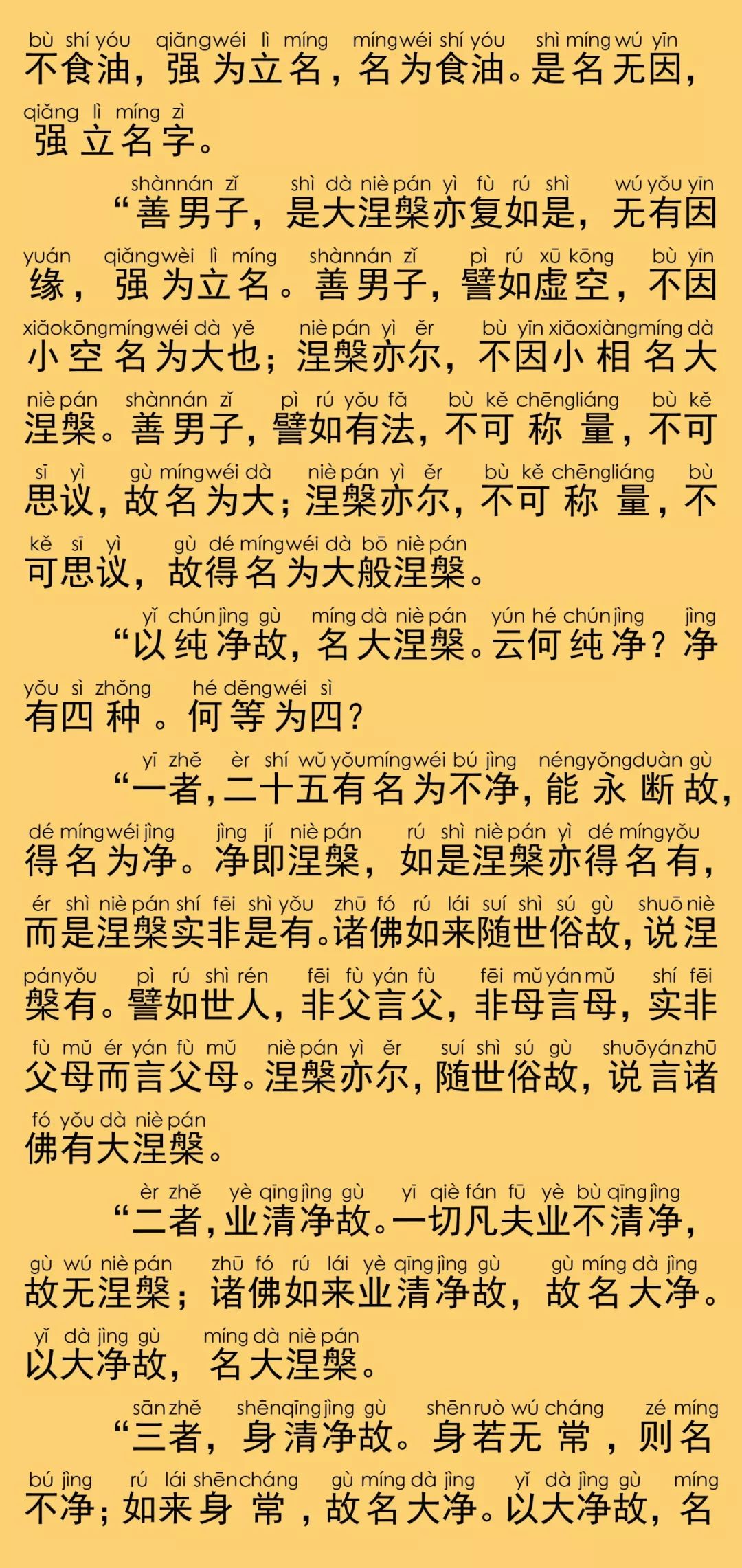 大般涅槃经卷第二十一28