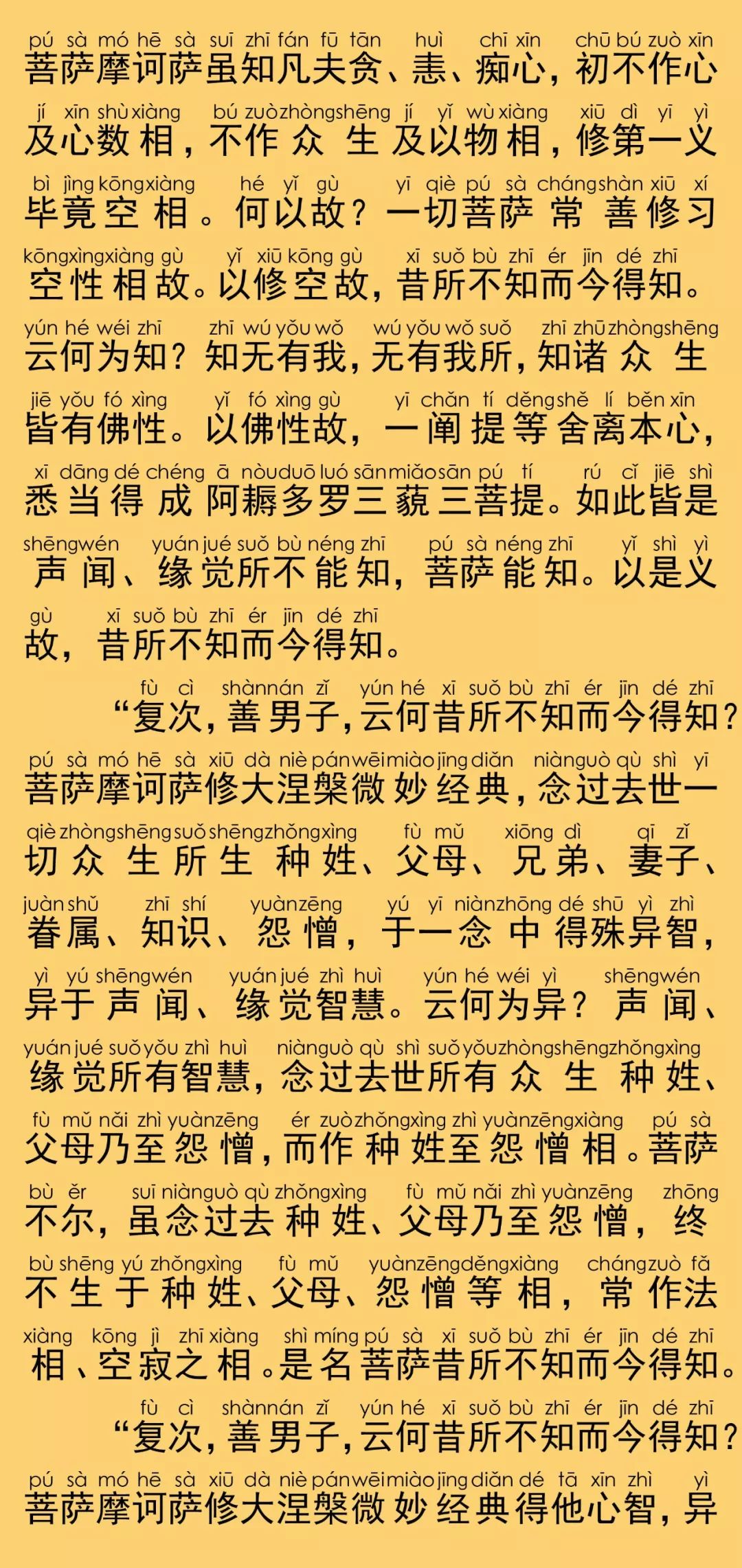 大般涅槃经卷第二十二14