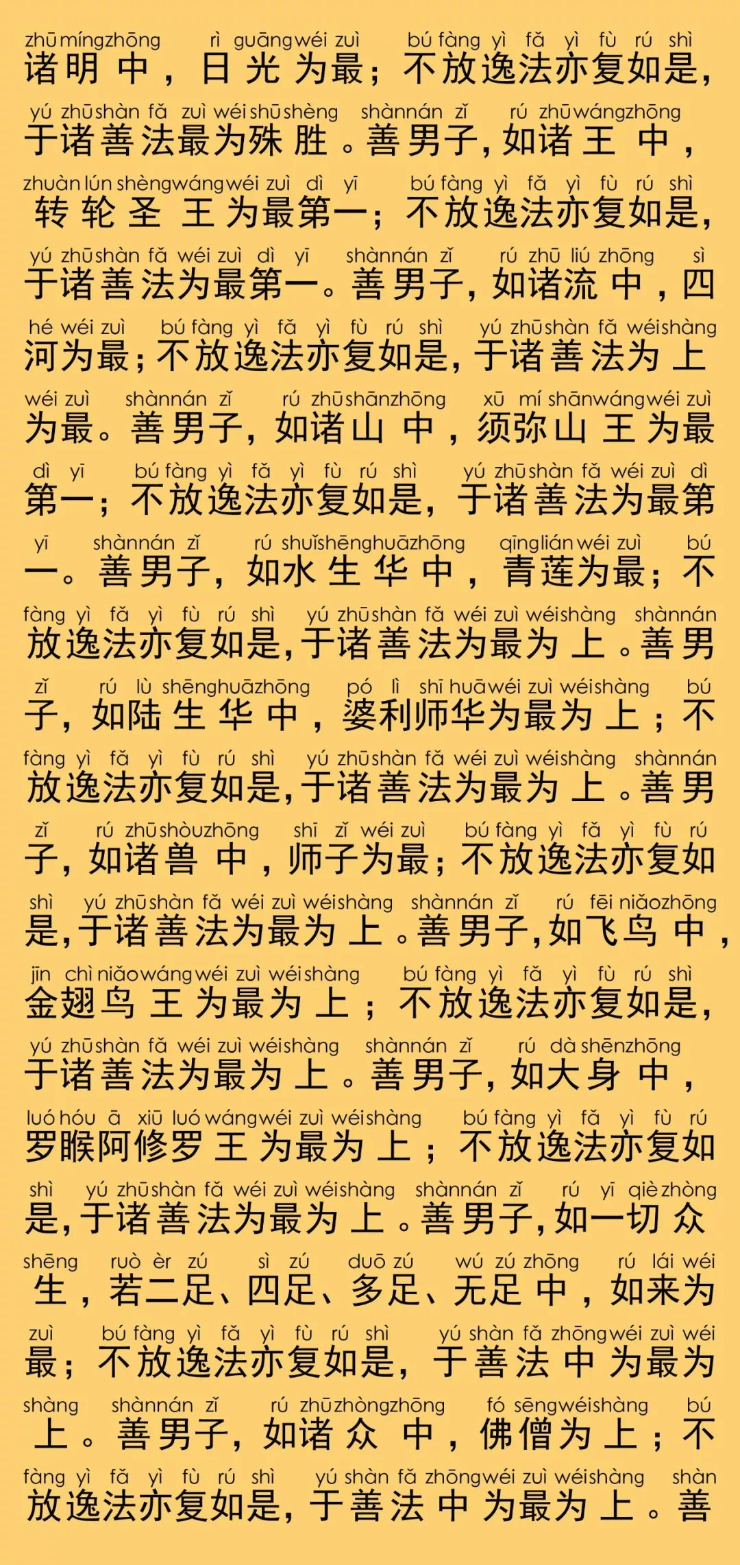 大般涅槃经卷第二十二17