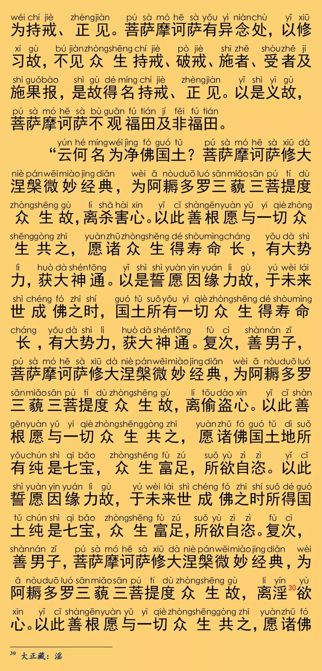 大般涅槃经卷第二十二20